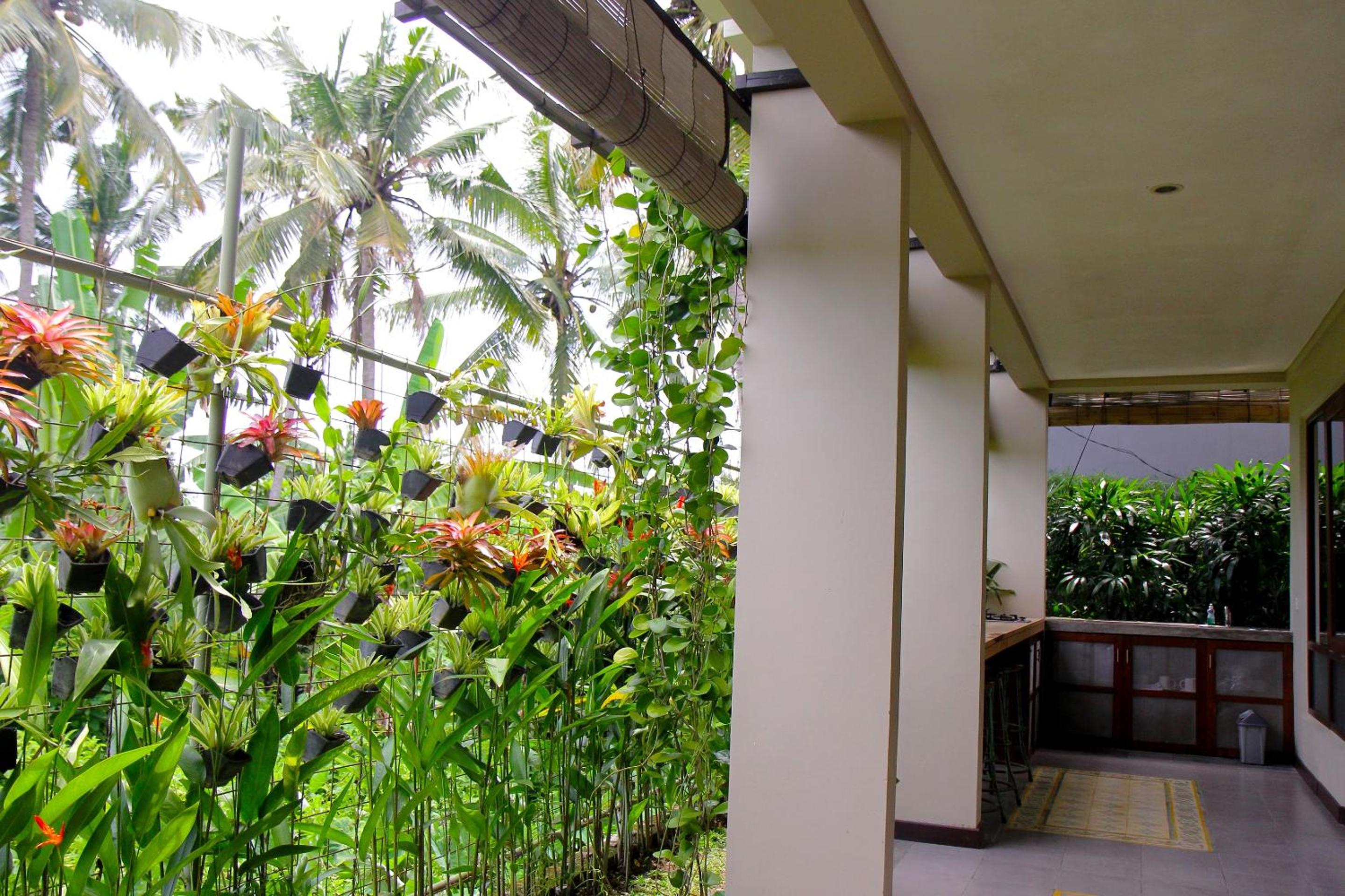 Rumah Taman