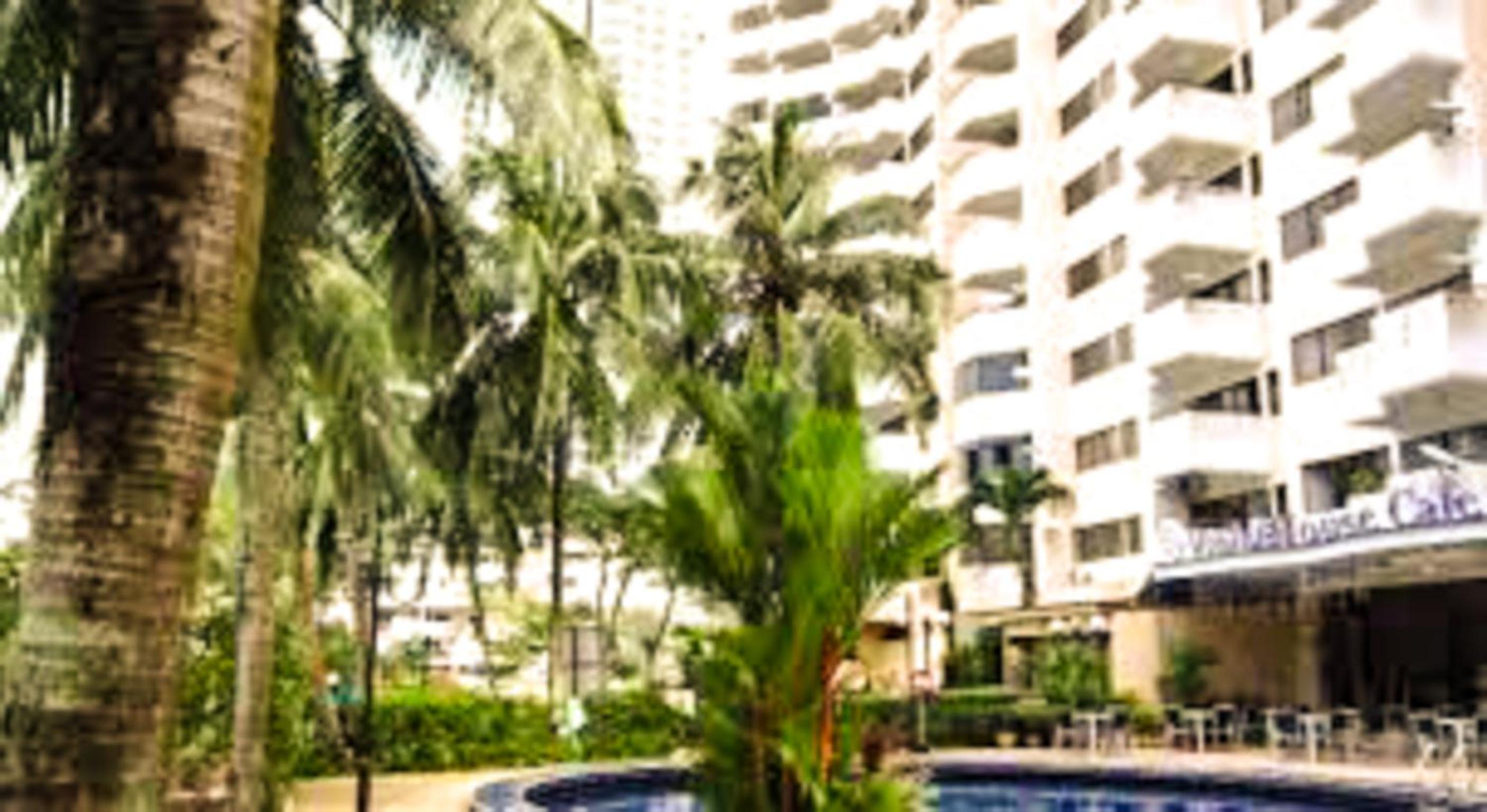Seaview Paradise photo 8