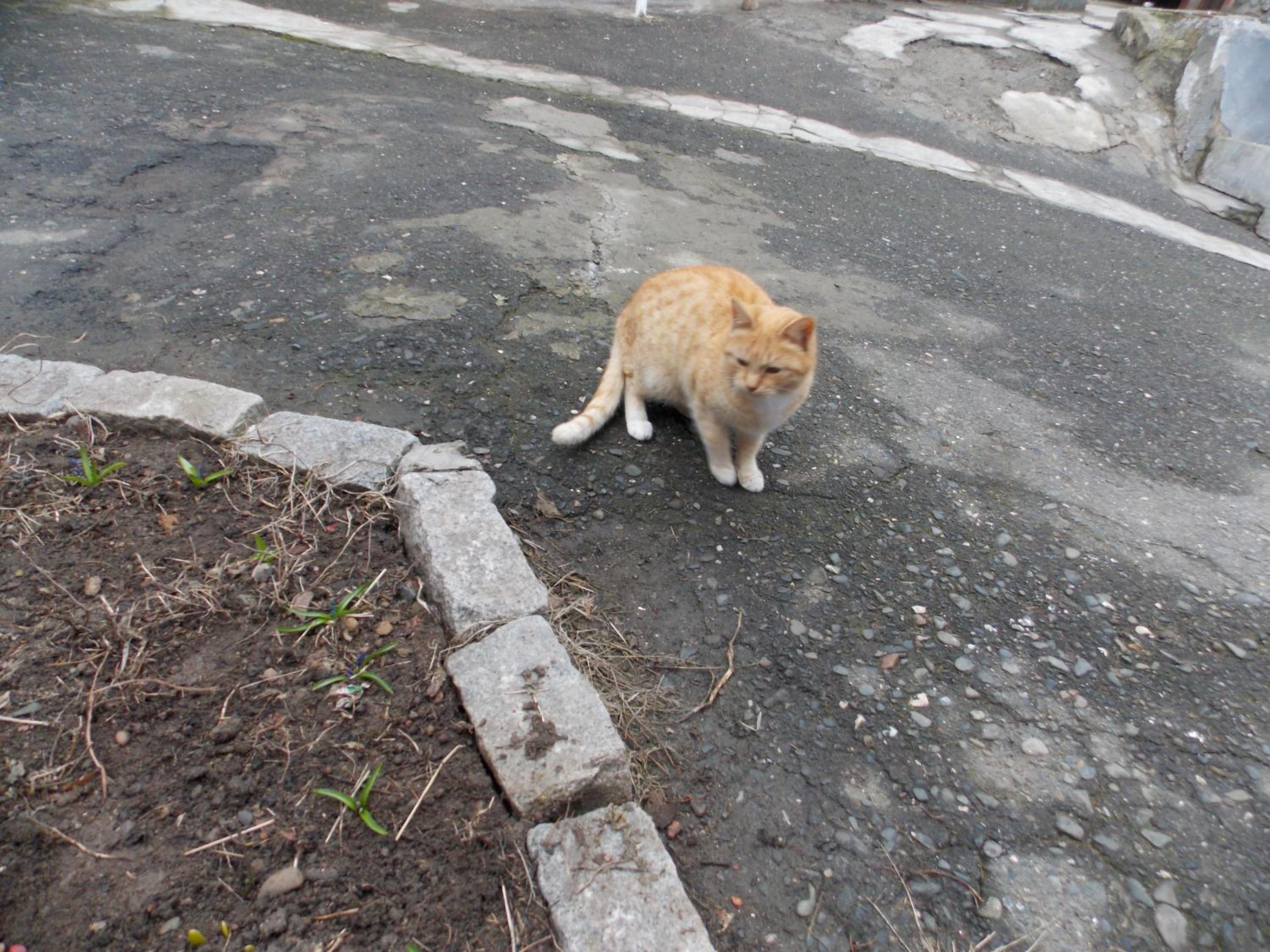 Photo 24