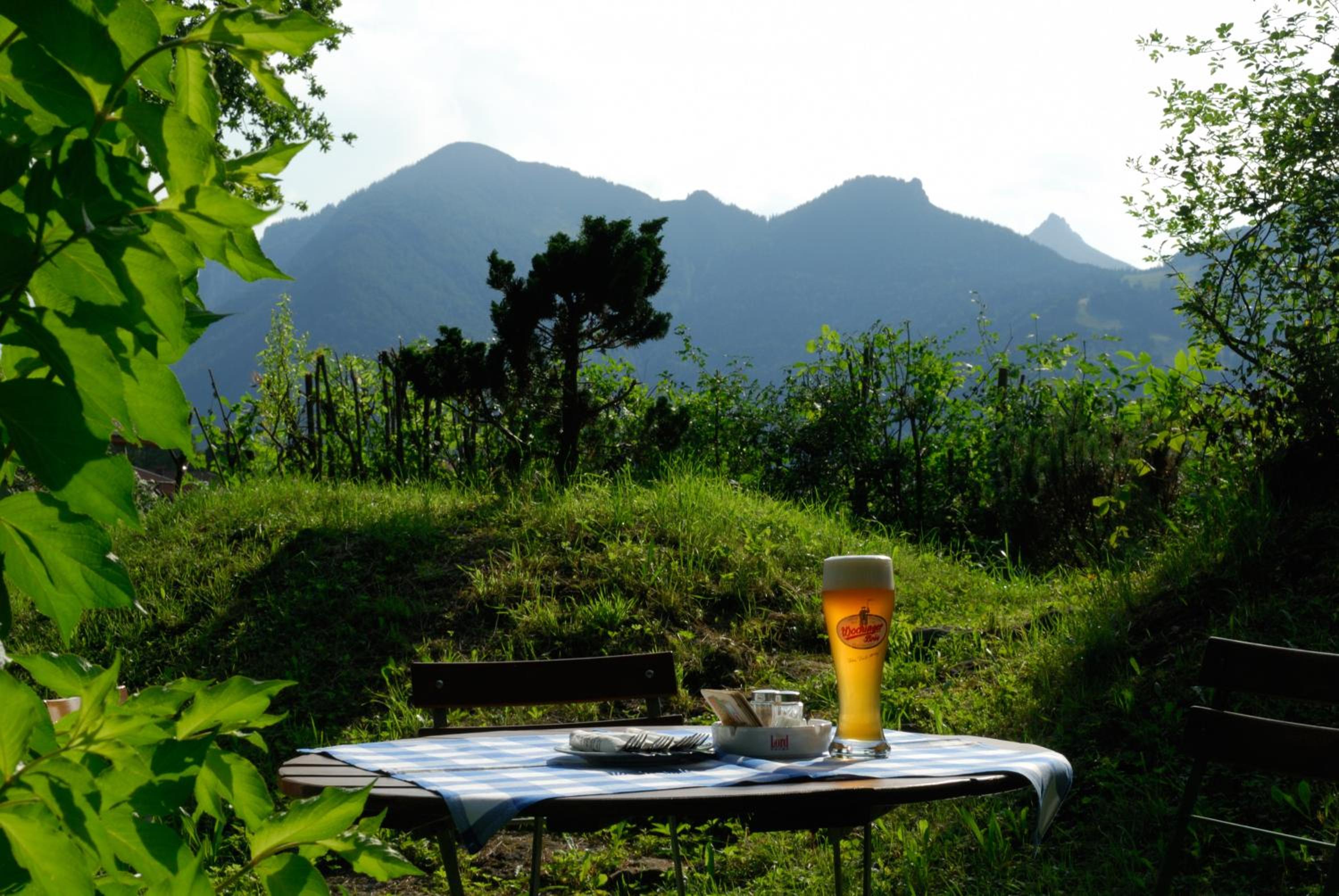 Gasthof Zum Ott view 3