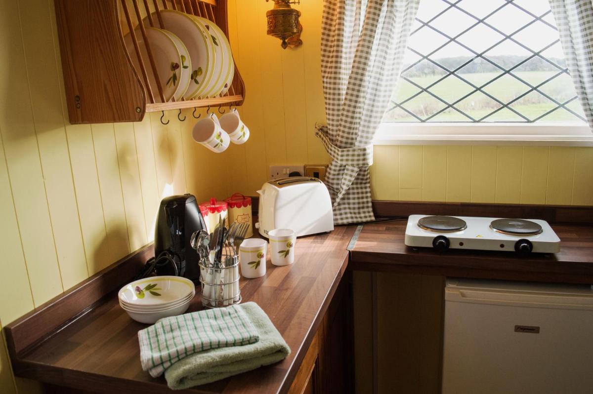 Shrublands Farm Shepherd's Hut view 3