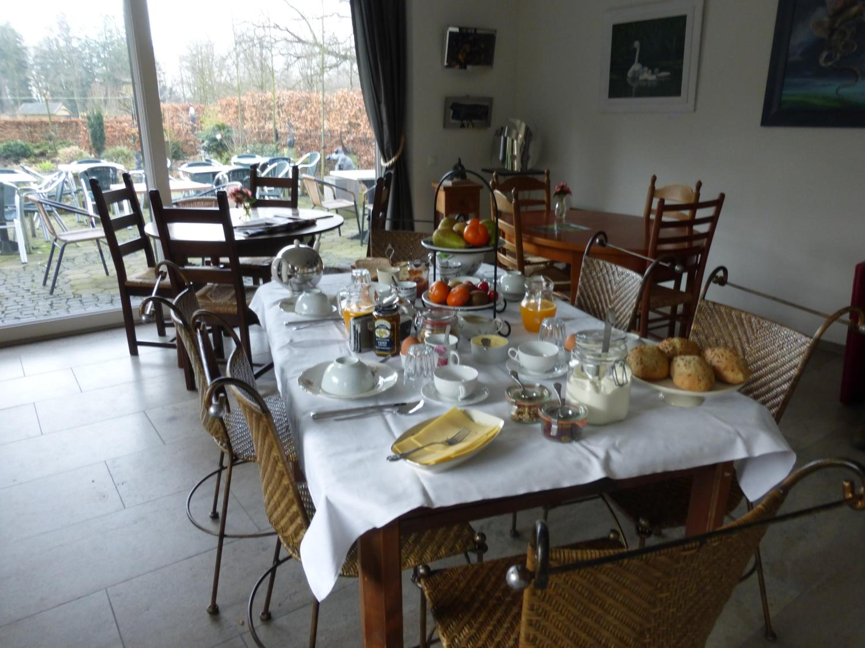de zanderij, photo 16