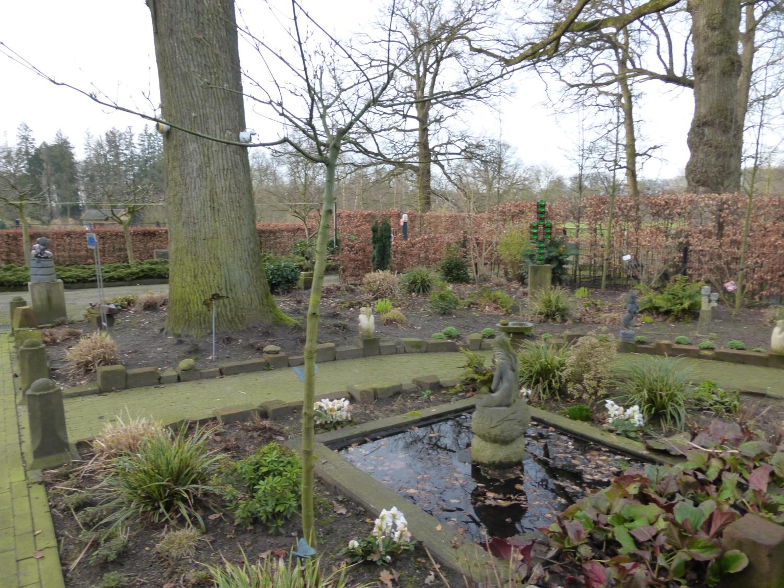 de zanderij, photo 12