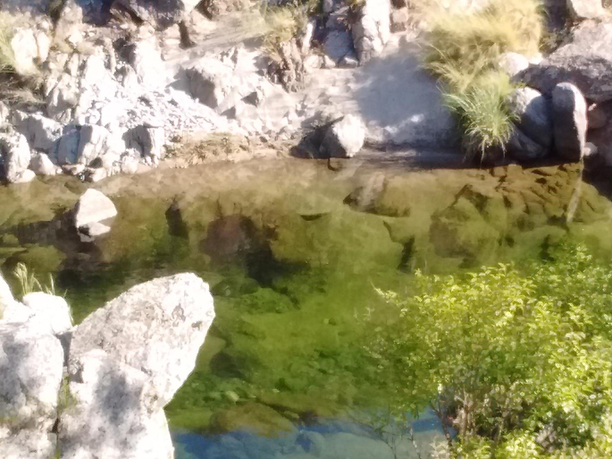 Serranias Del Tabaquillo