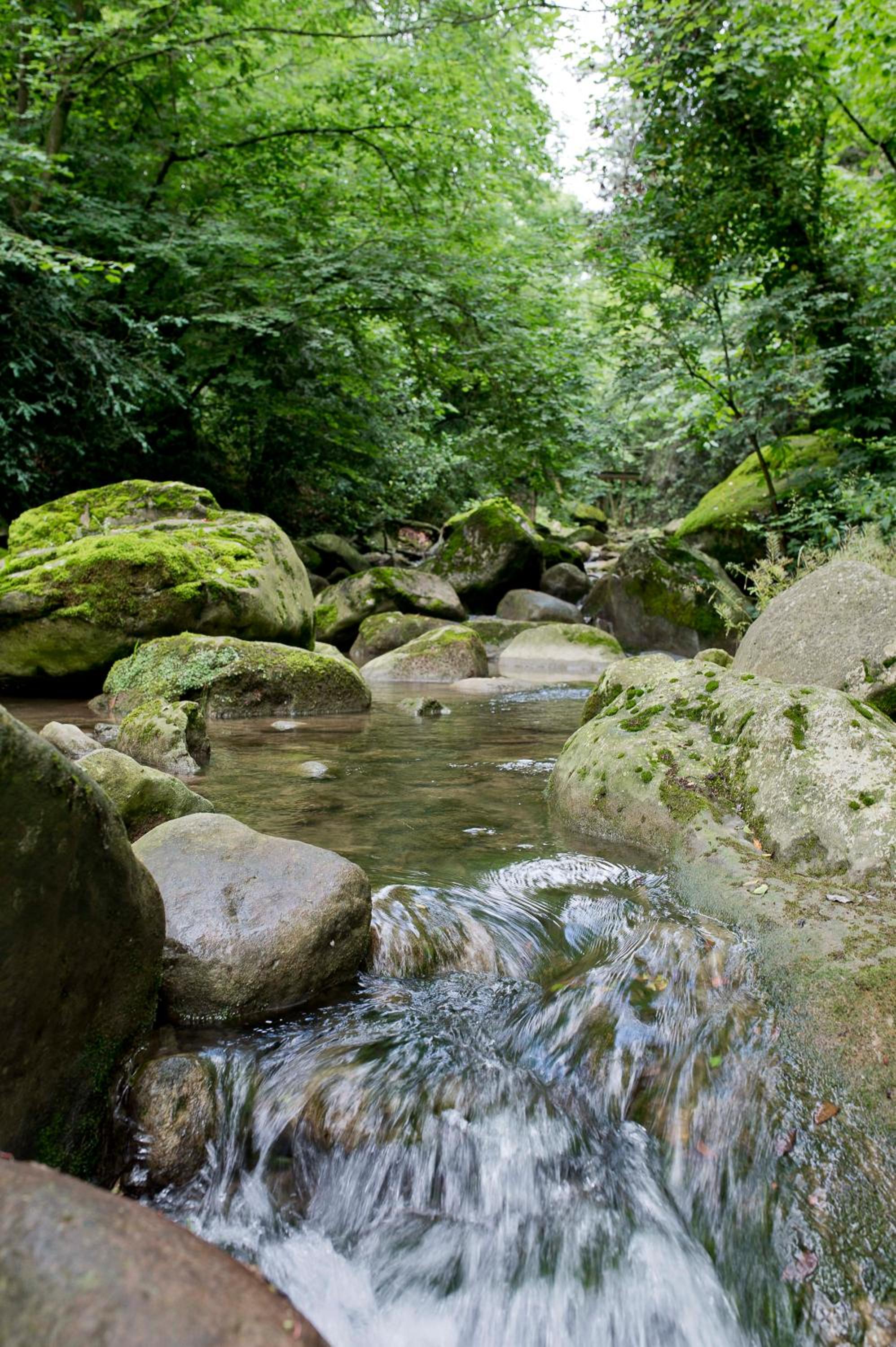 other