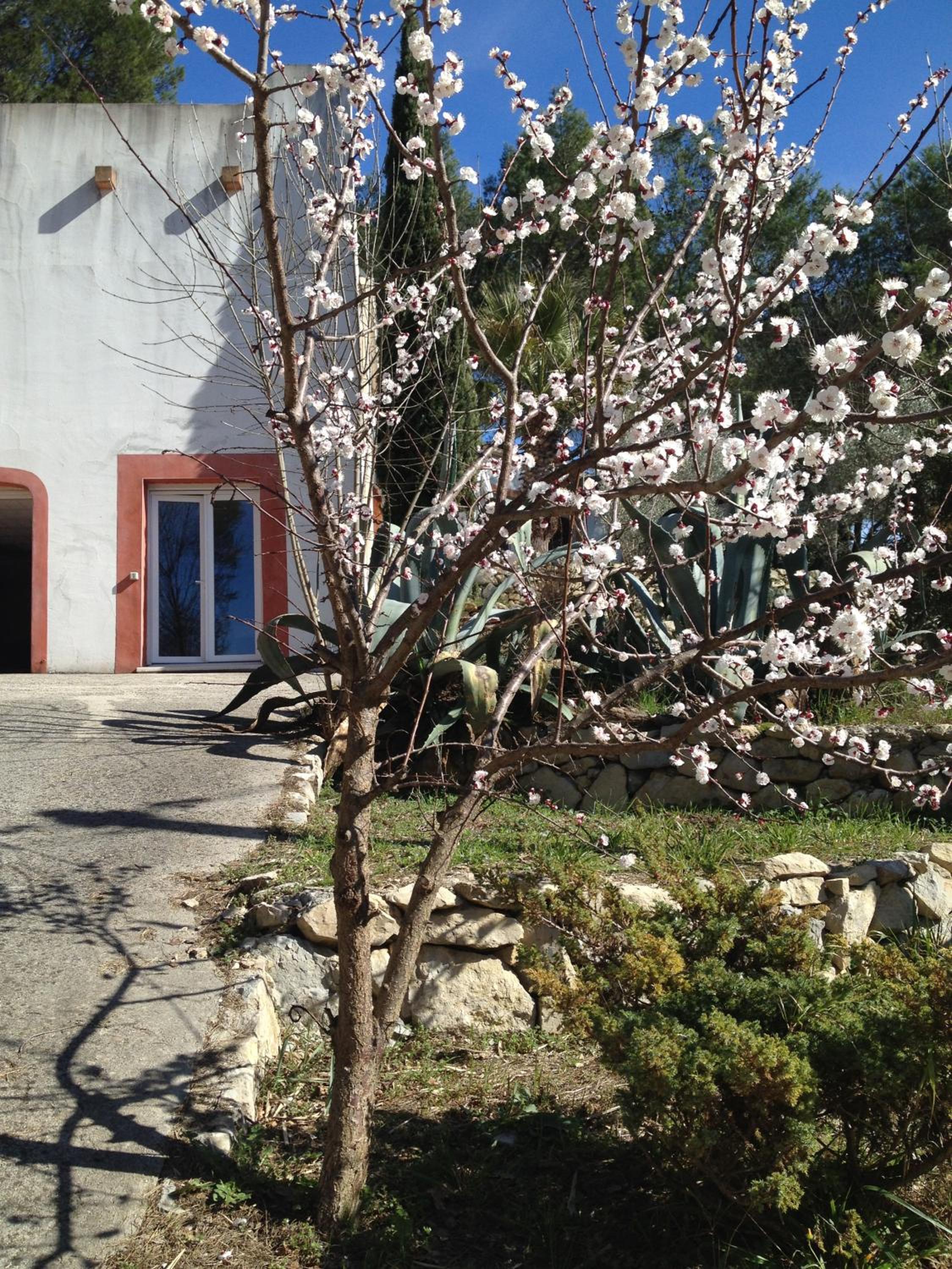 Villa Diego view 4