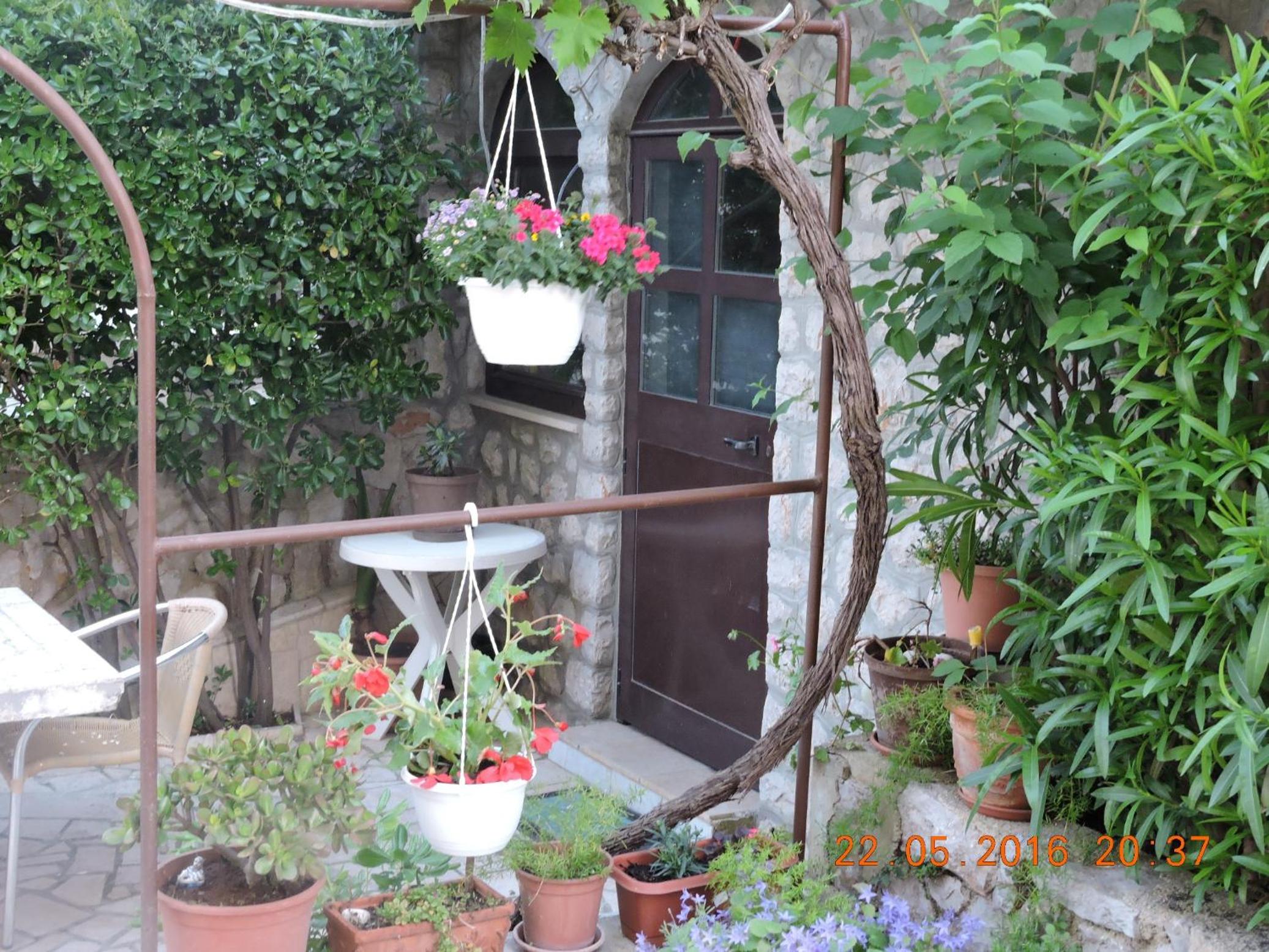 Photo 16