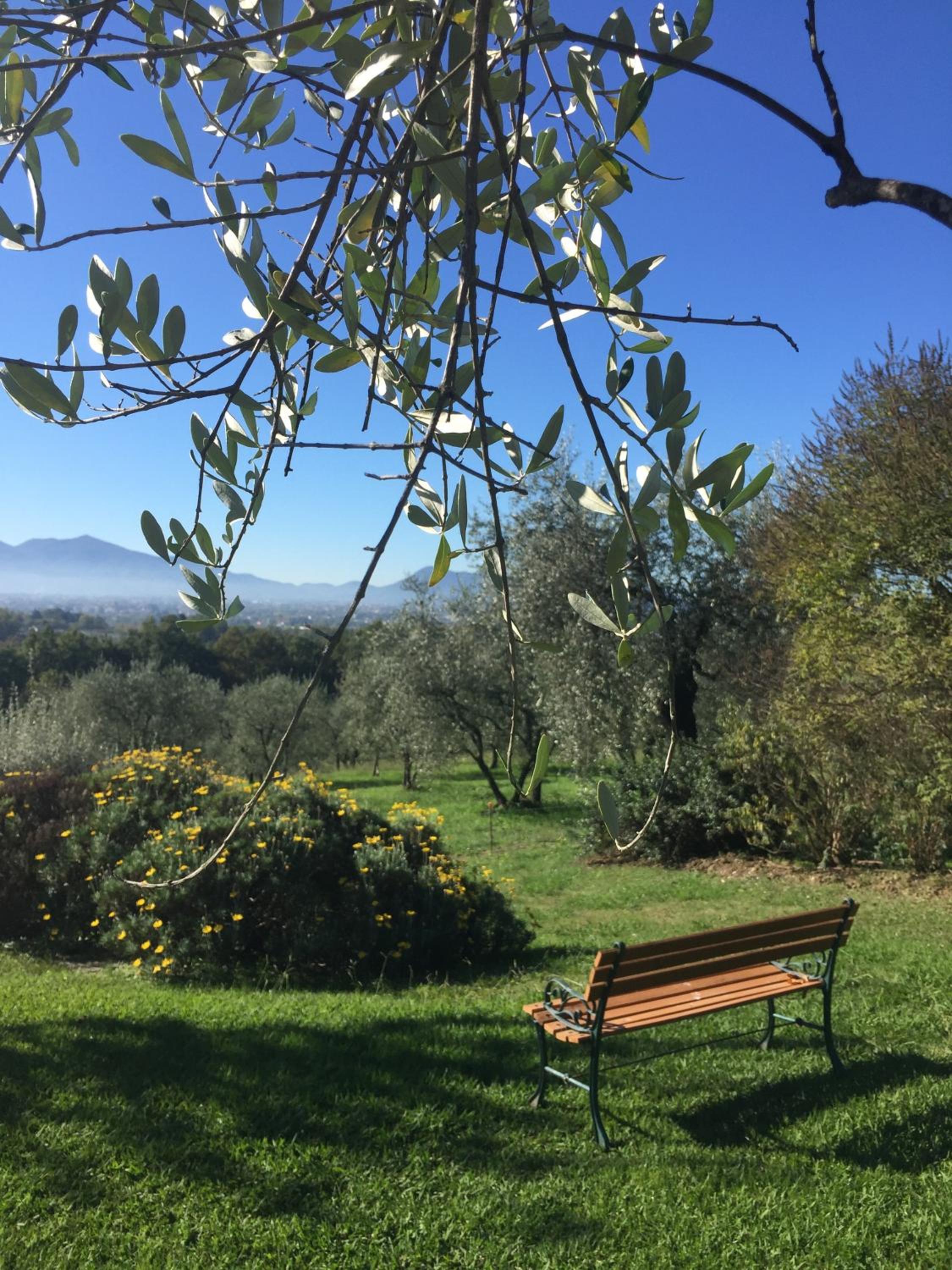 Bertolli Villas view 5