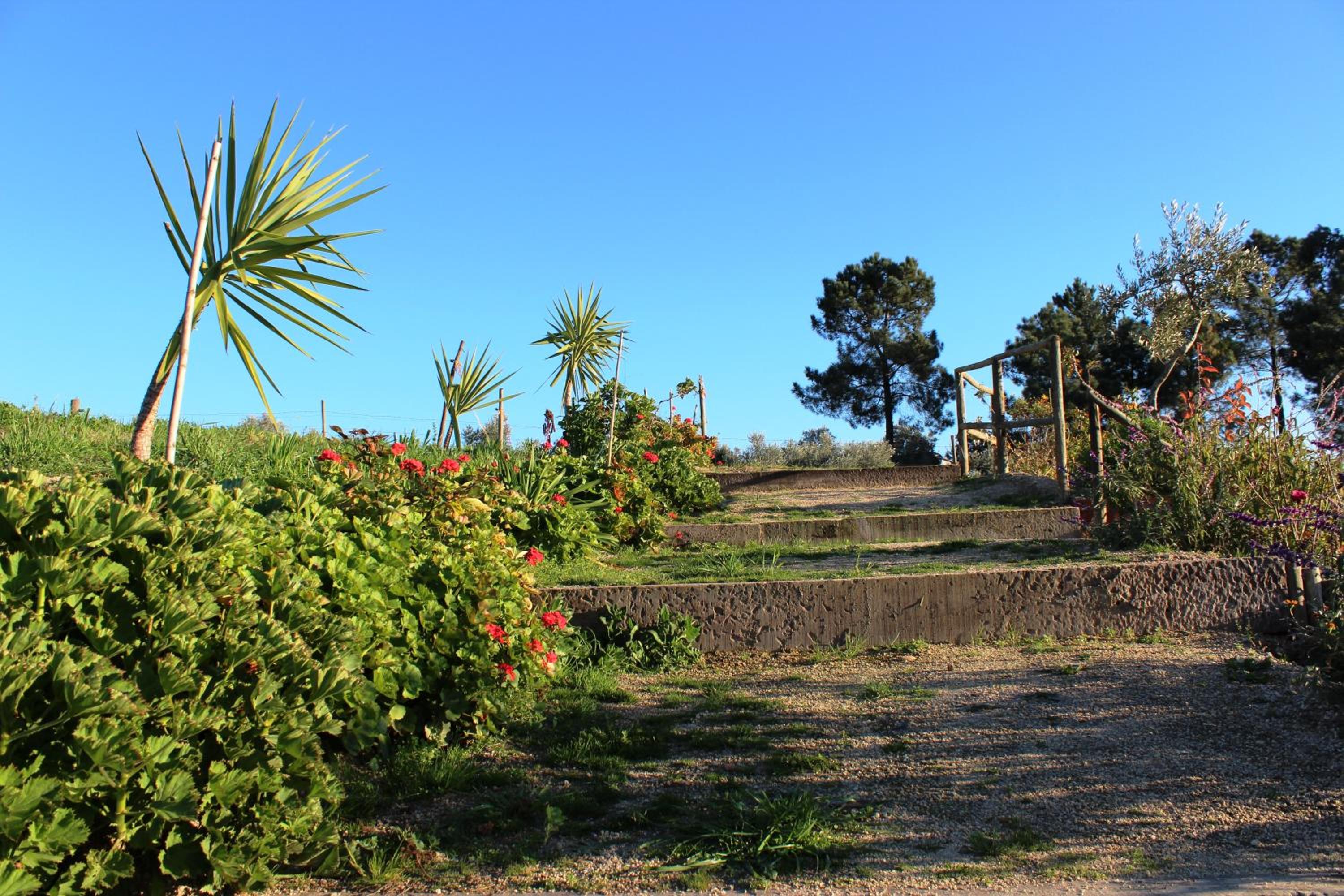 Photo 45