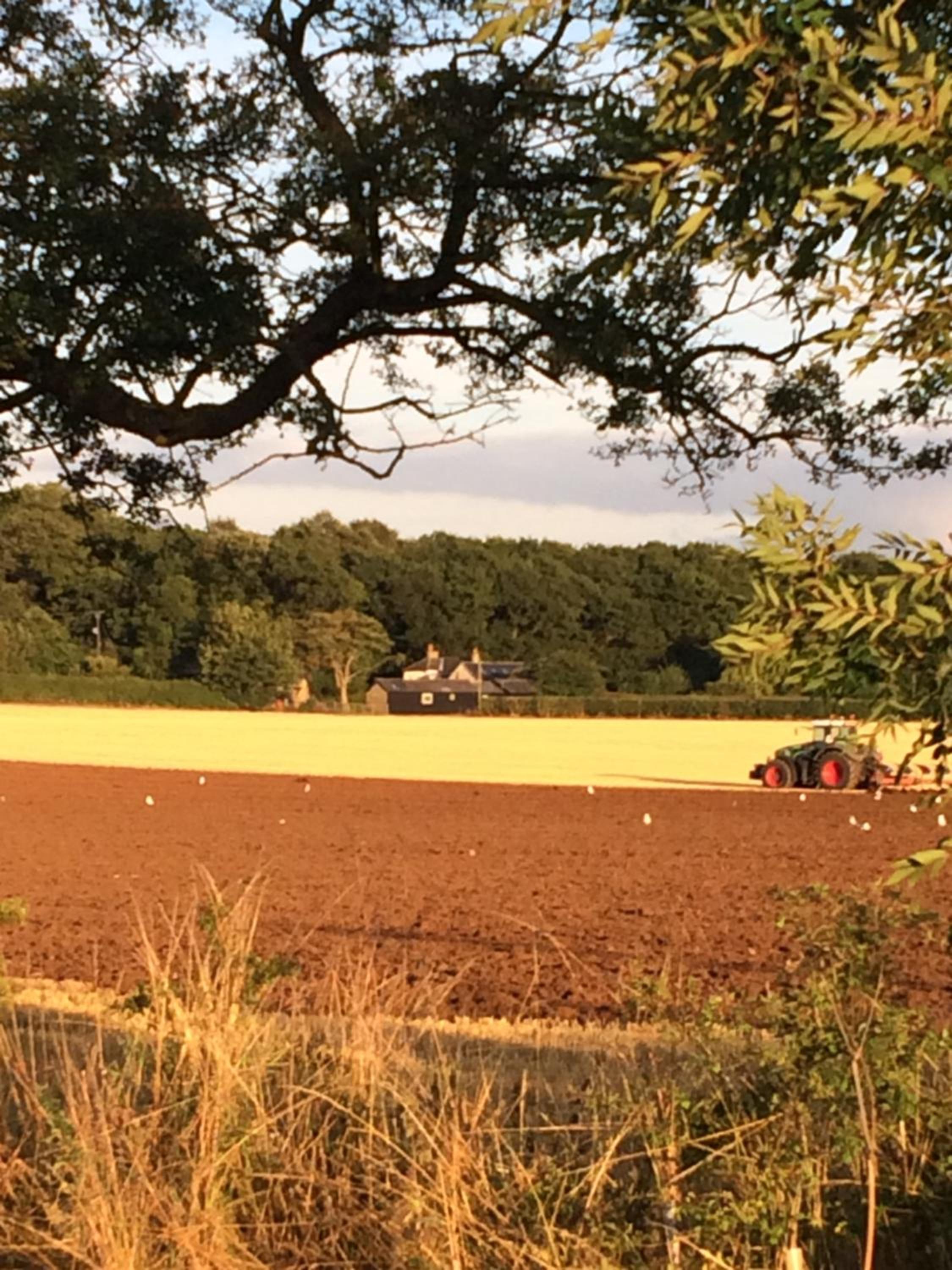 Bridleway Bed & Breakfast