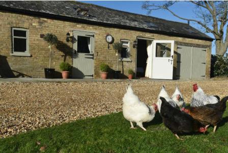 Bridleway Bed & Breakfast