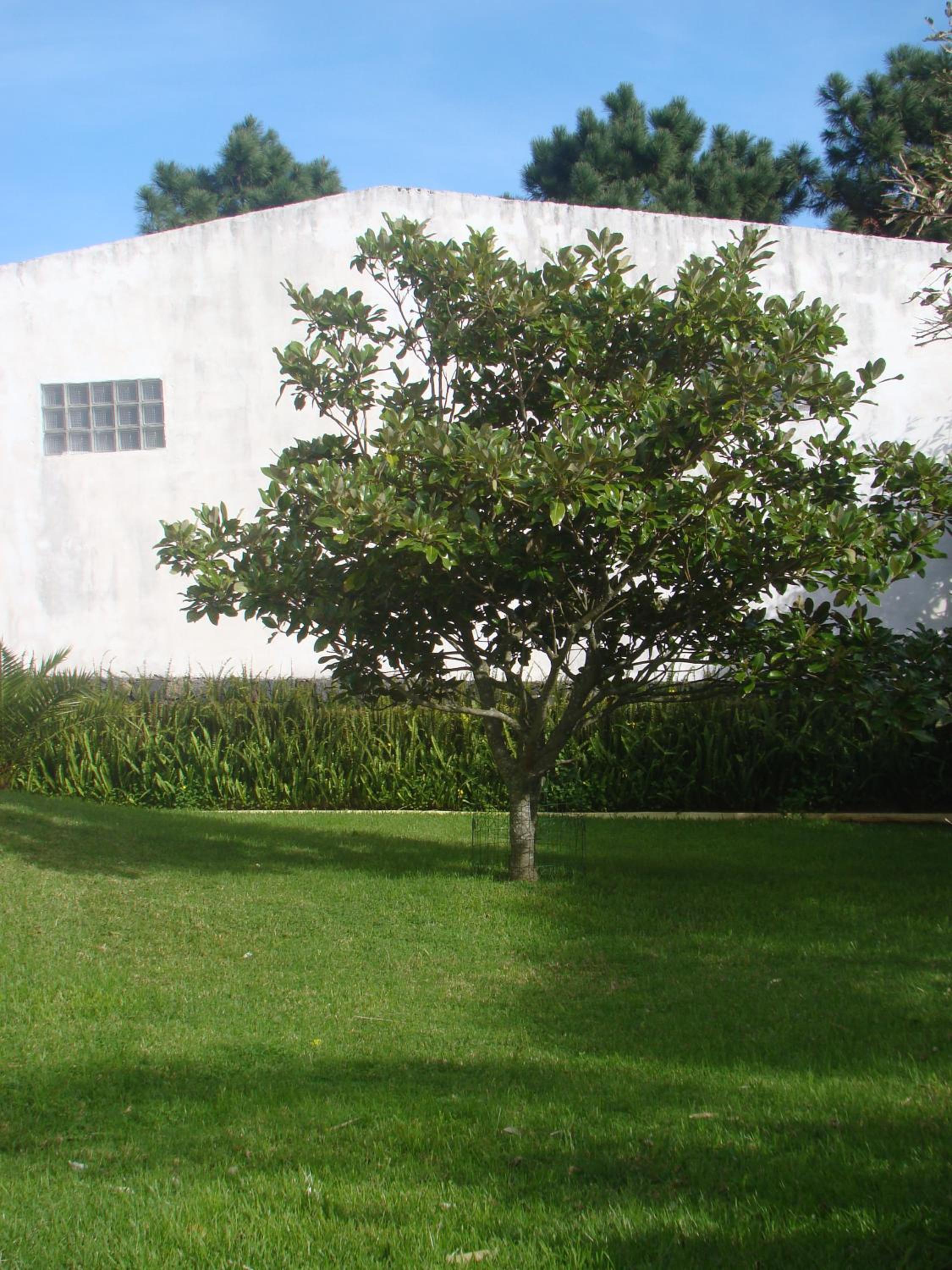 Casa das Merces view 2