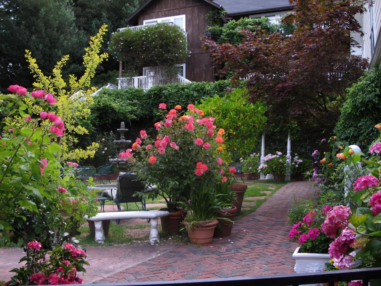 Inn at Occidental view 2