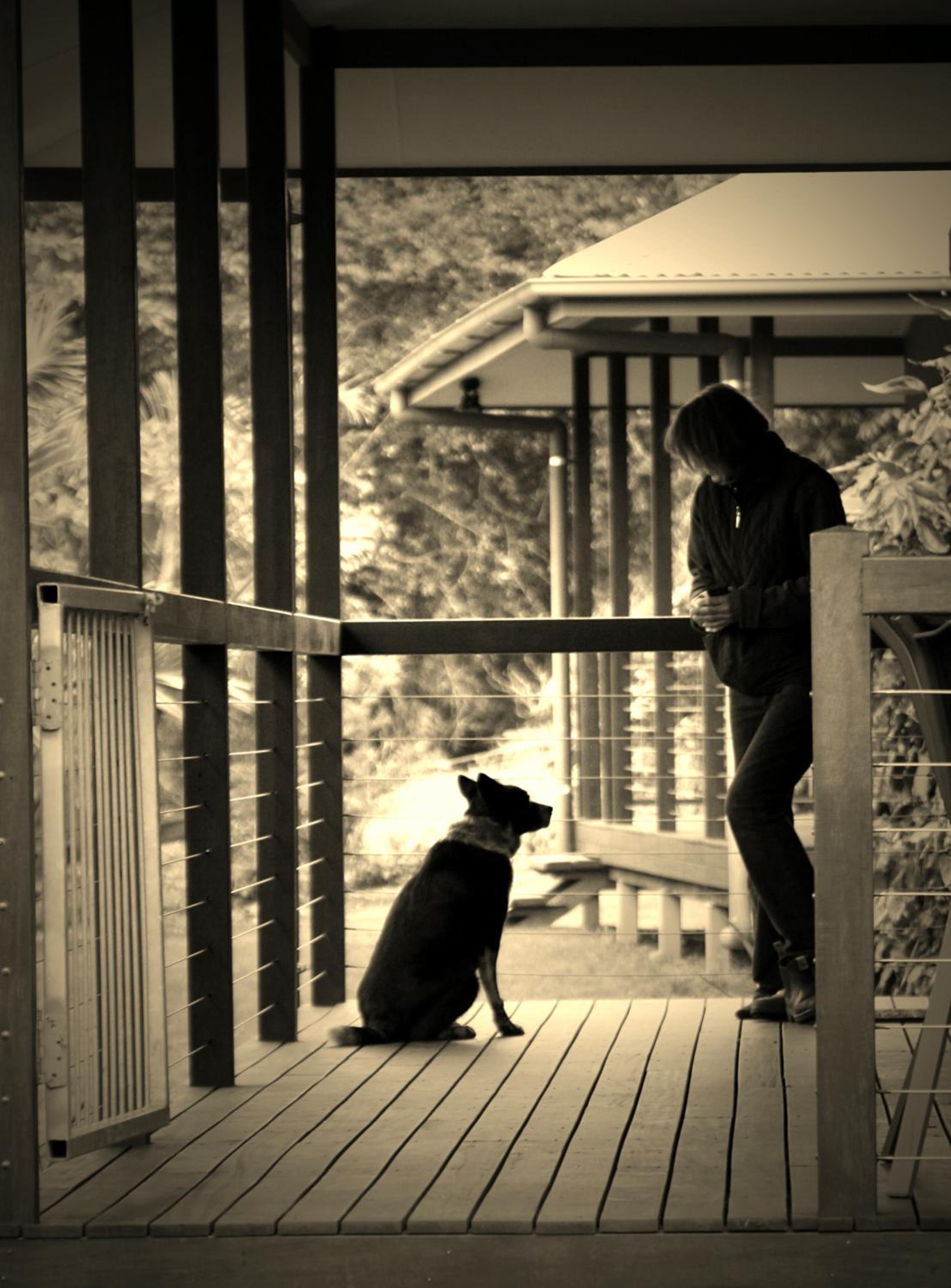 Photo 40