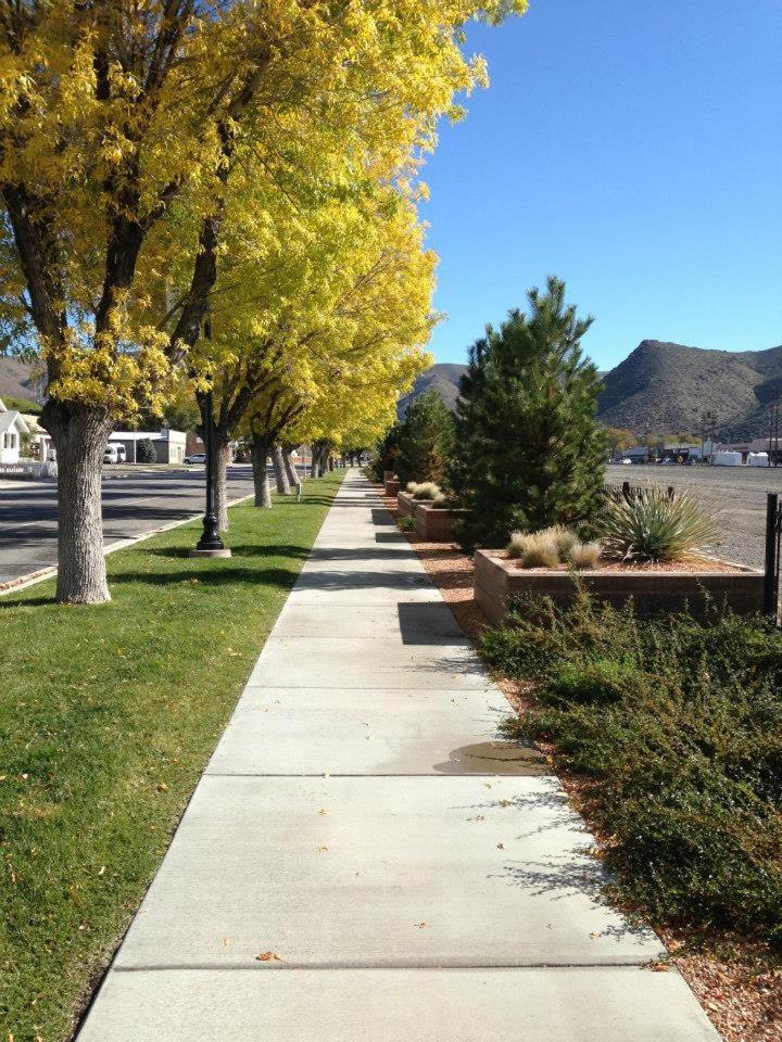 Shady Motel view 4