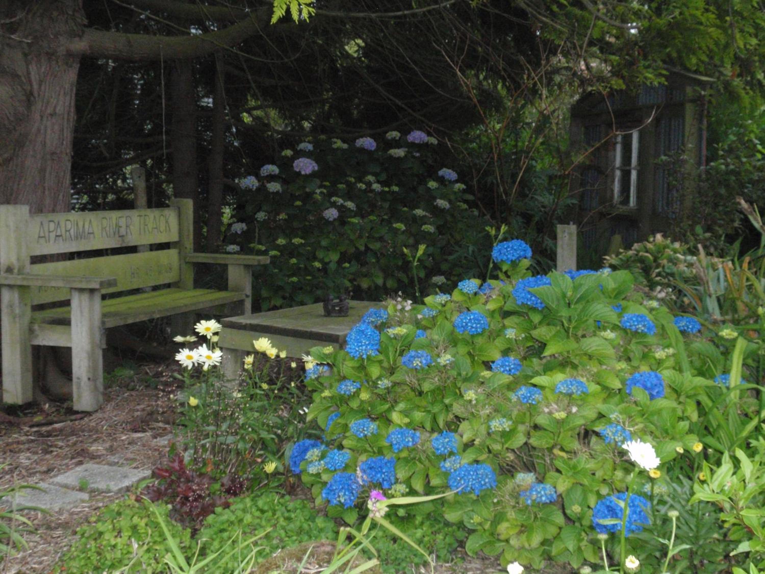 Photo 14