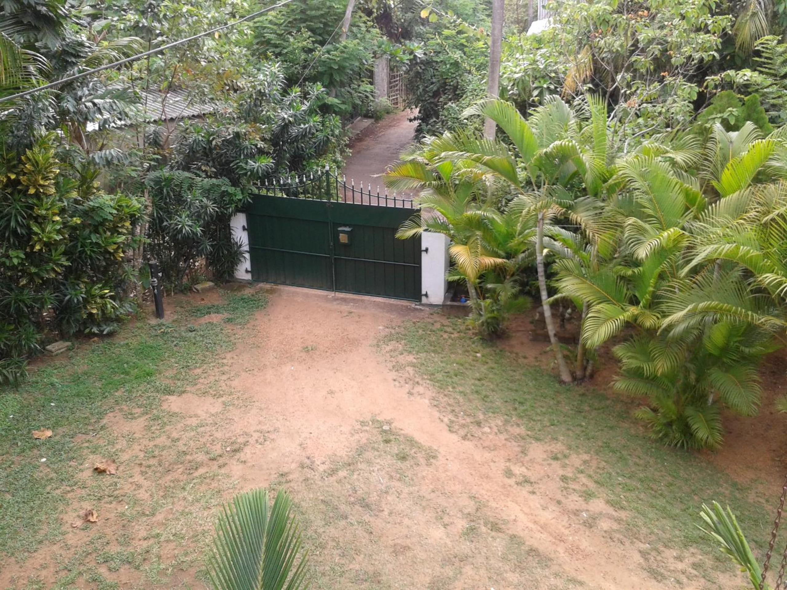 Photo 16