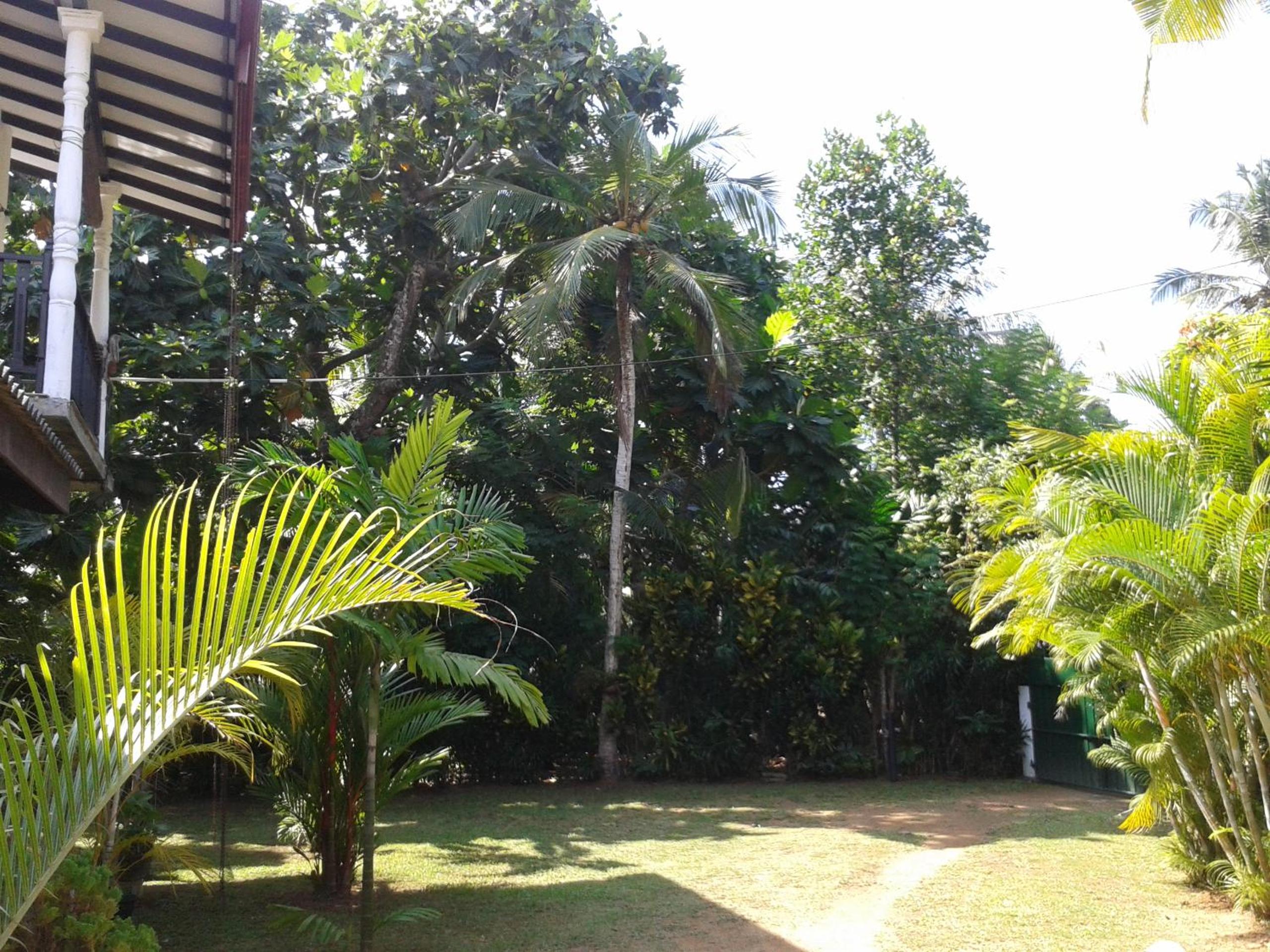 Photo 42