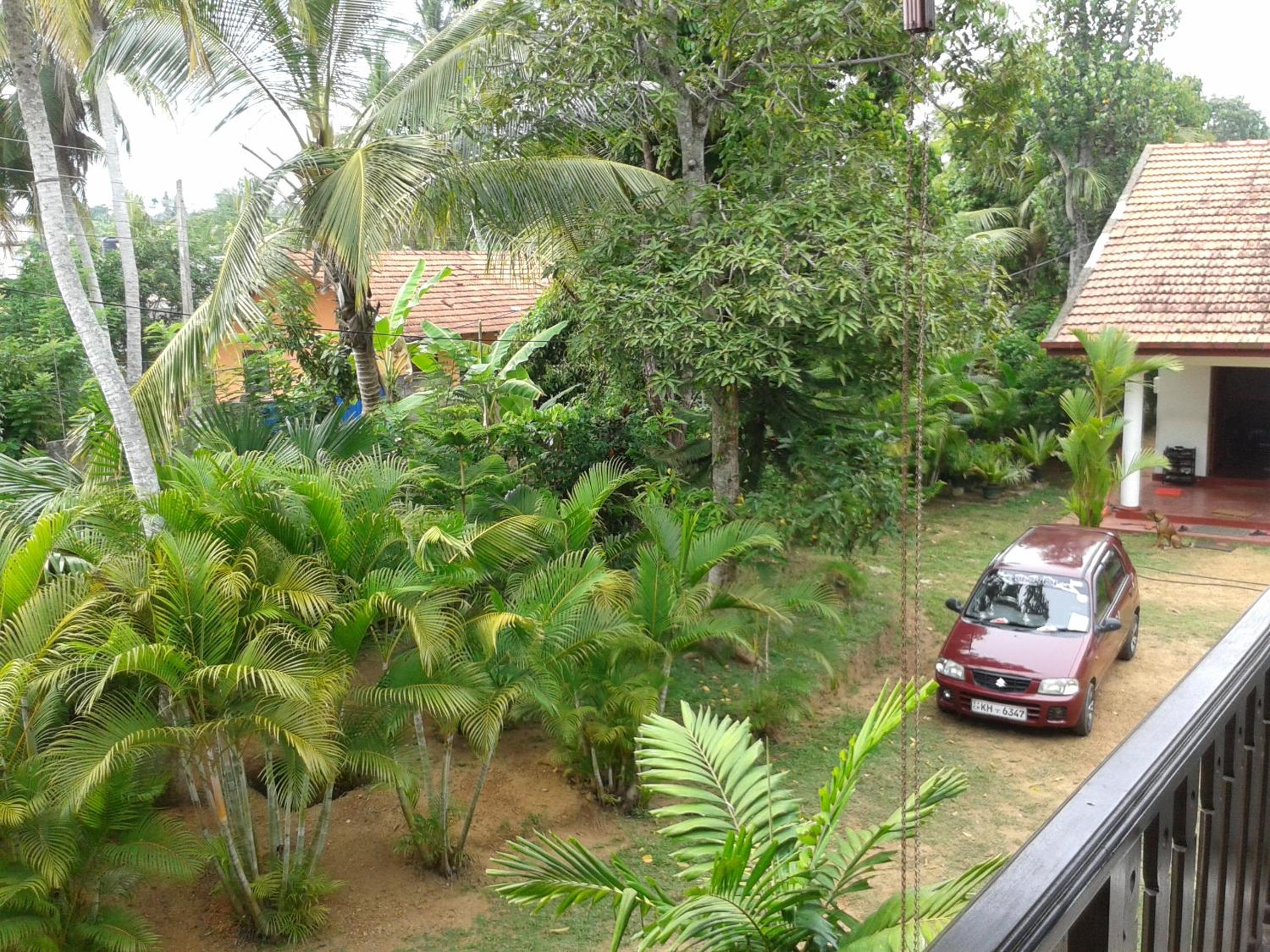 Photo 41