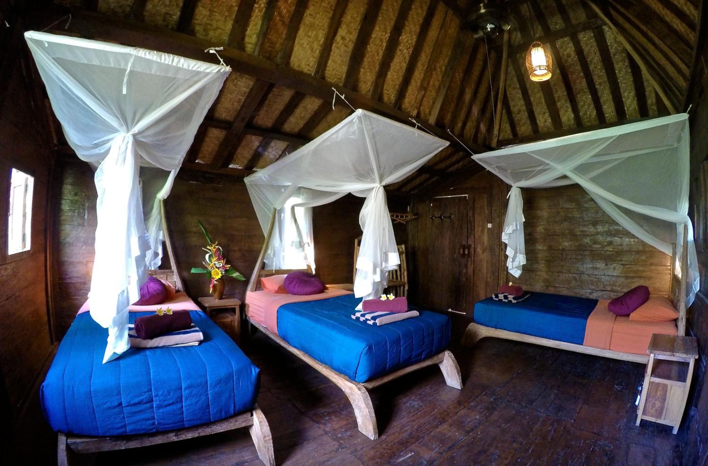 Dragonfly Village