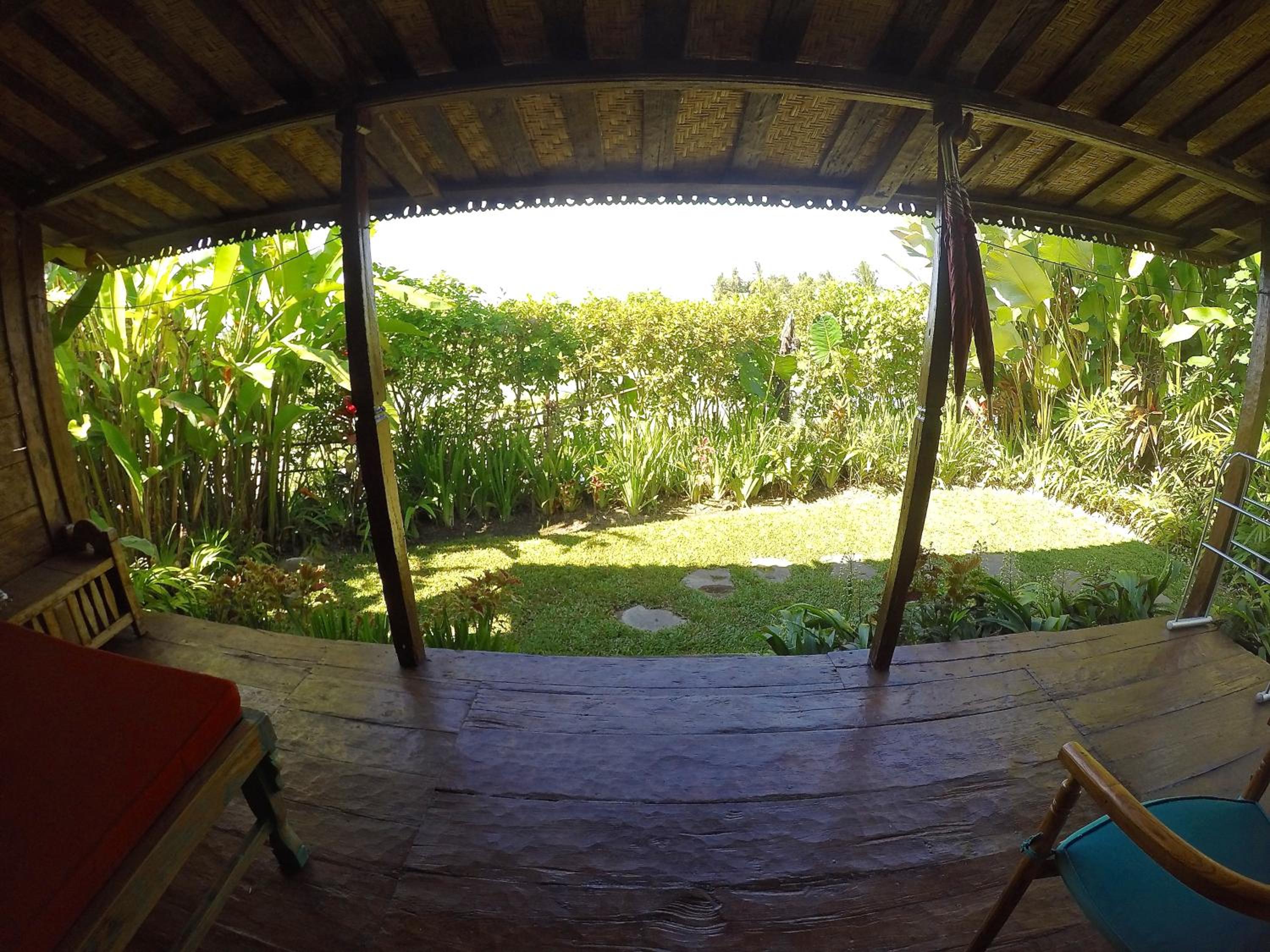 Dragonfly Village
