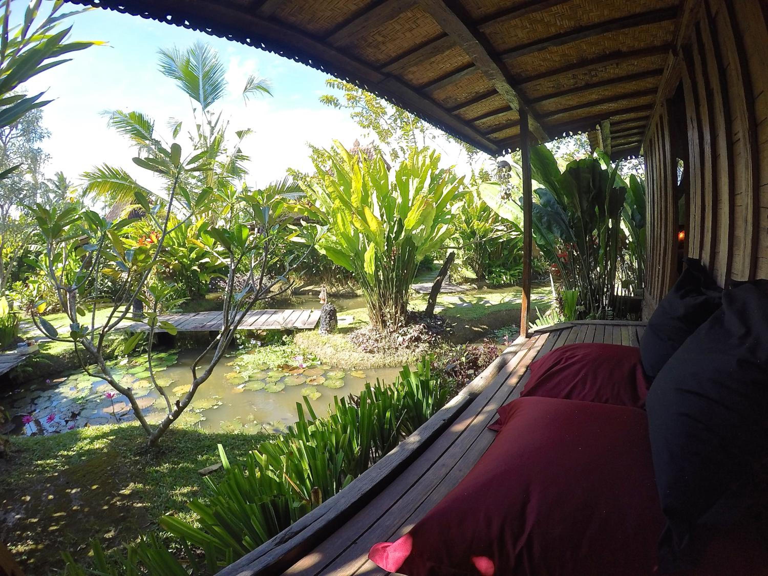 Dragonfly Village