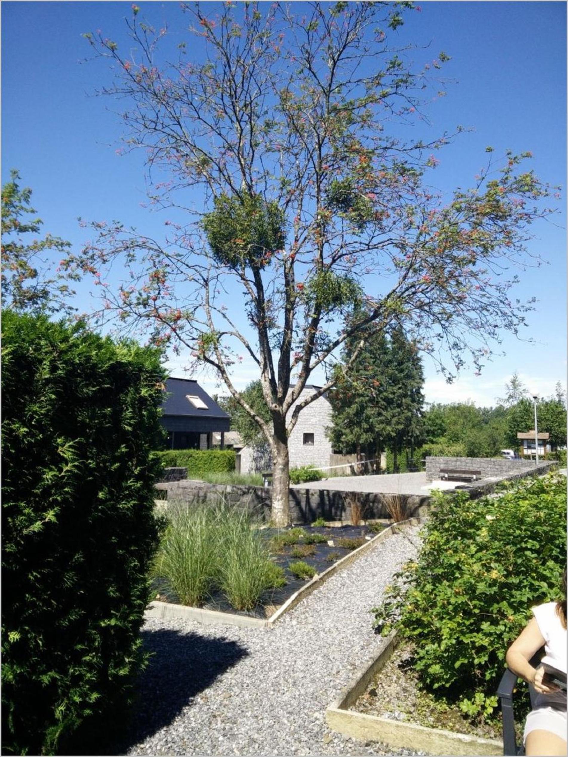 Maison Joseph