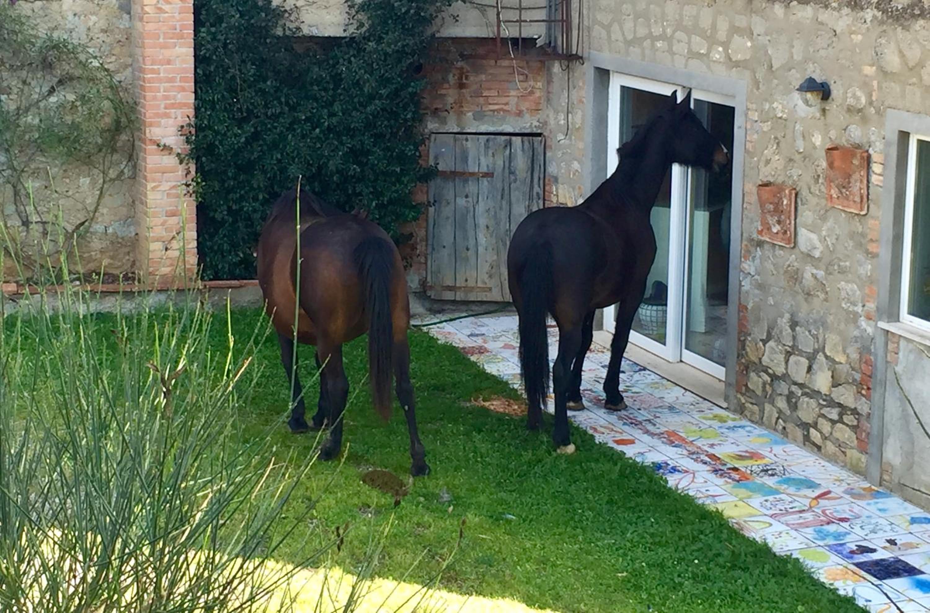 Agriturismo La Valentina Nuova