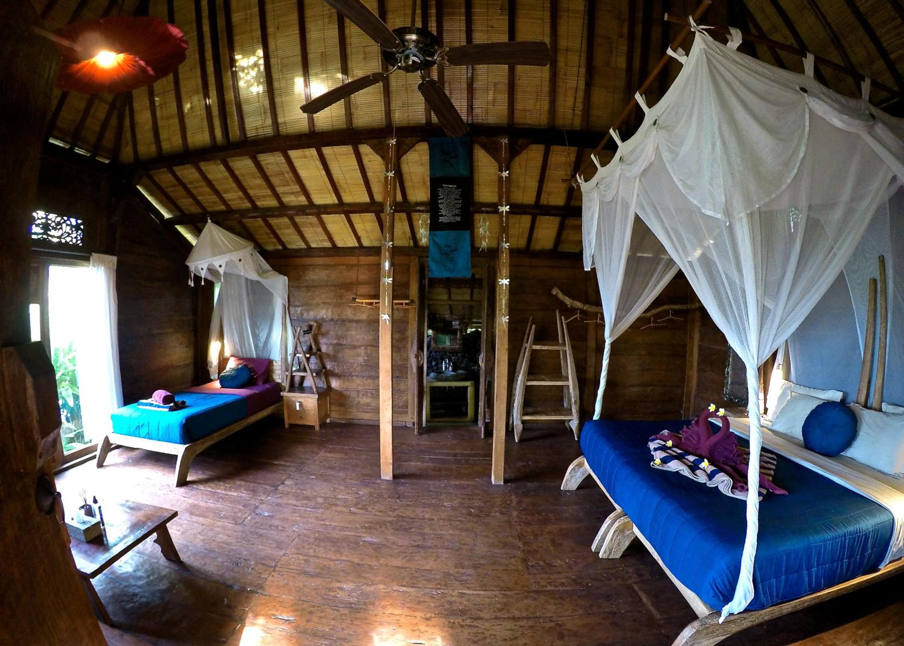 Dragonfly Village