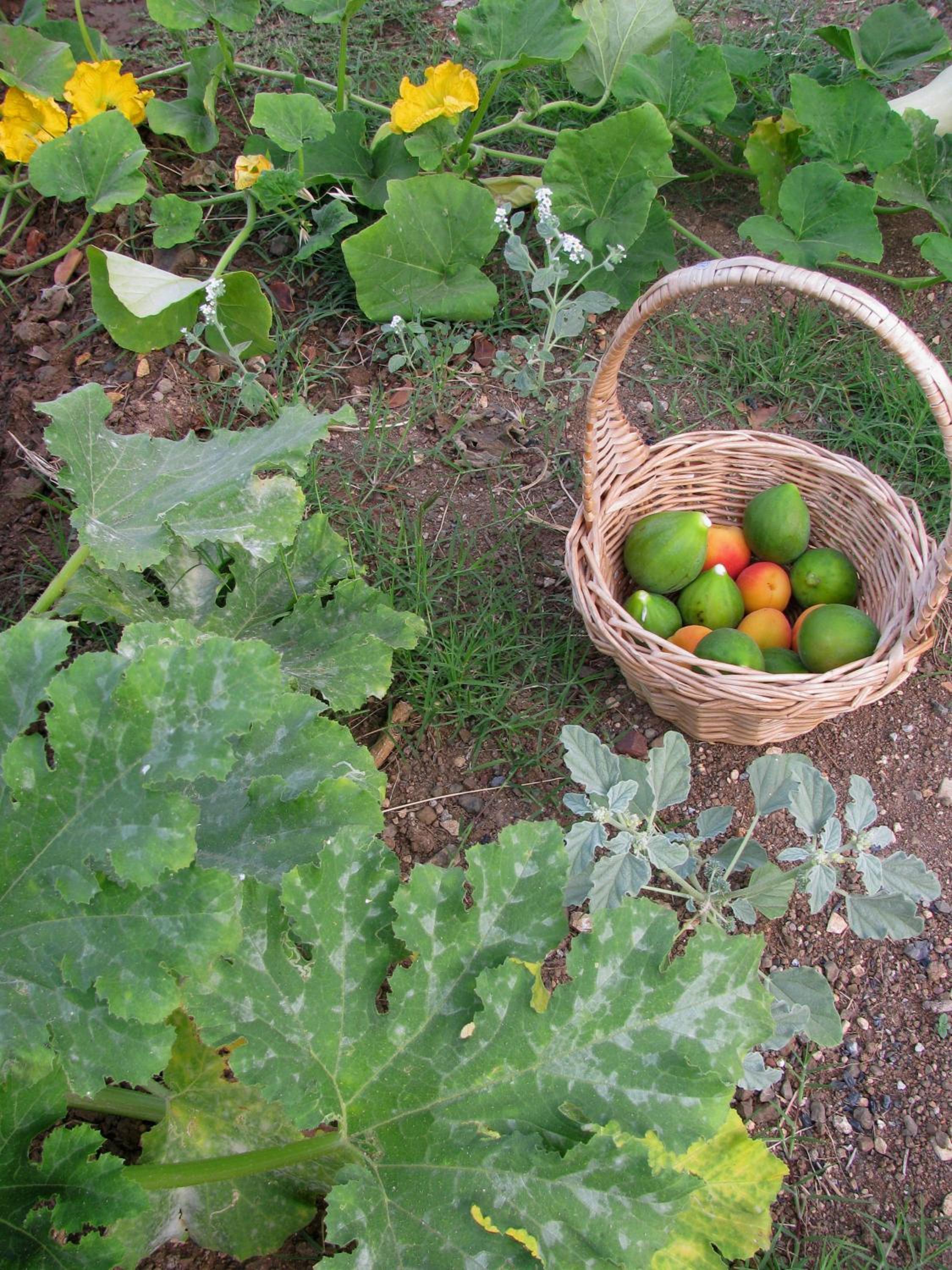 Photo 40