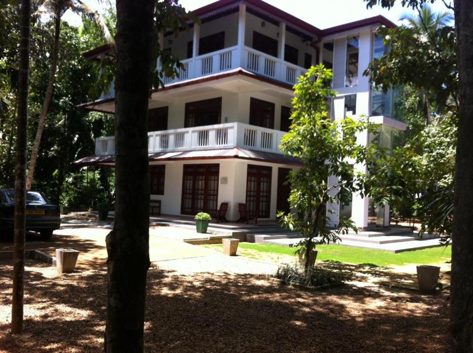 Photo 7