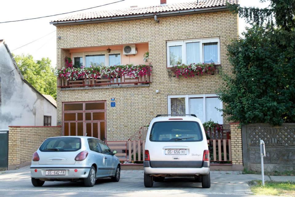 Photo 15