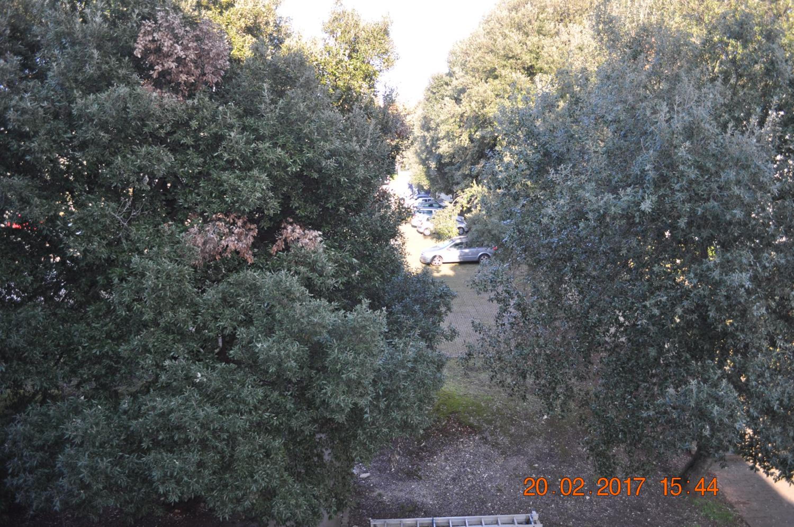 Apartment Dragica 2 view 5