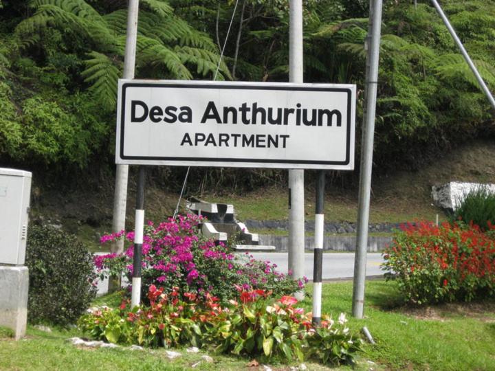 SA Apartments @ Desa Anthurium photo 4