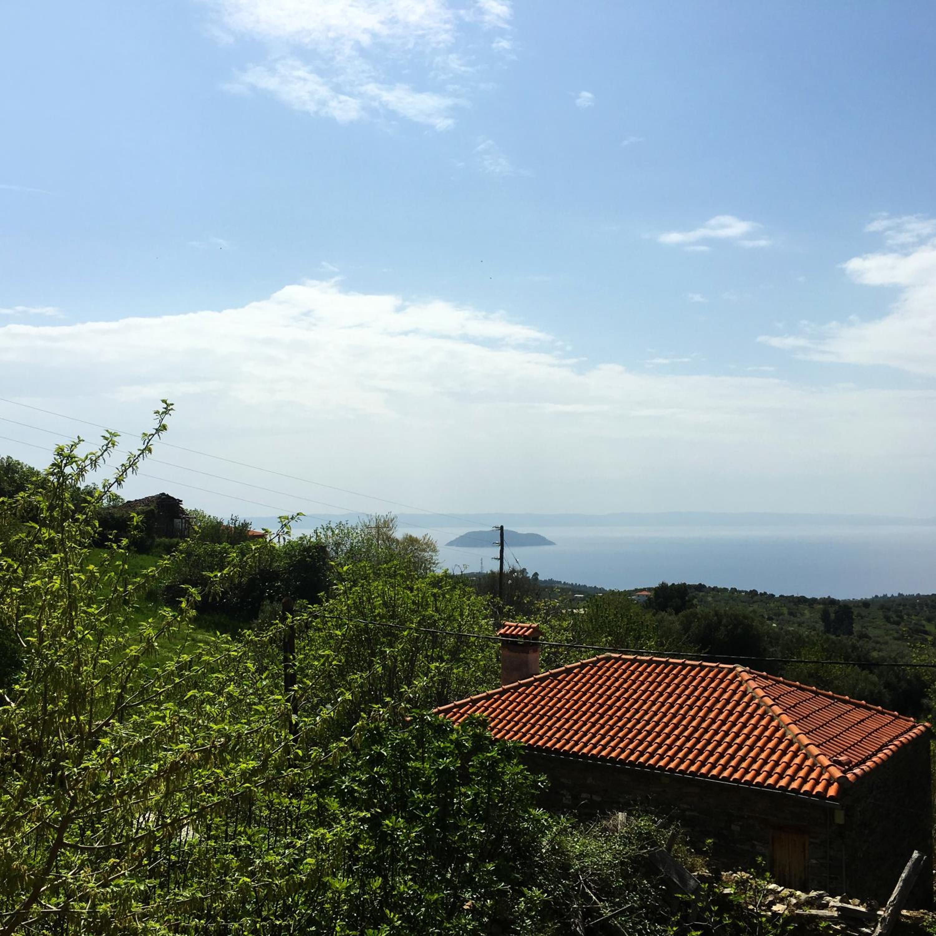 Photo 26
