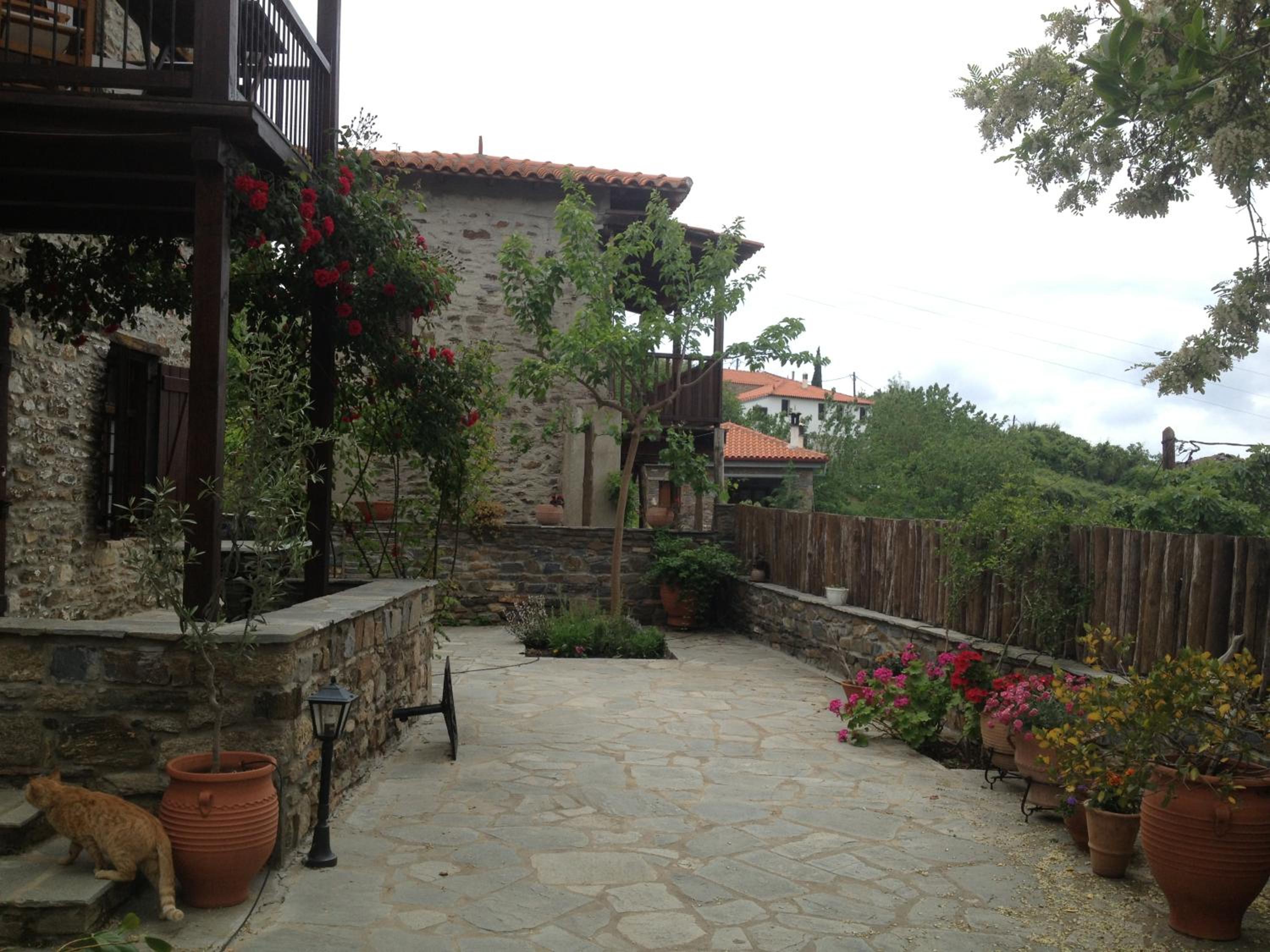 Photo 15