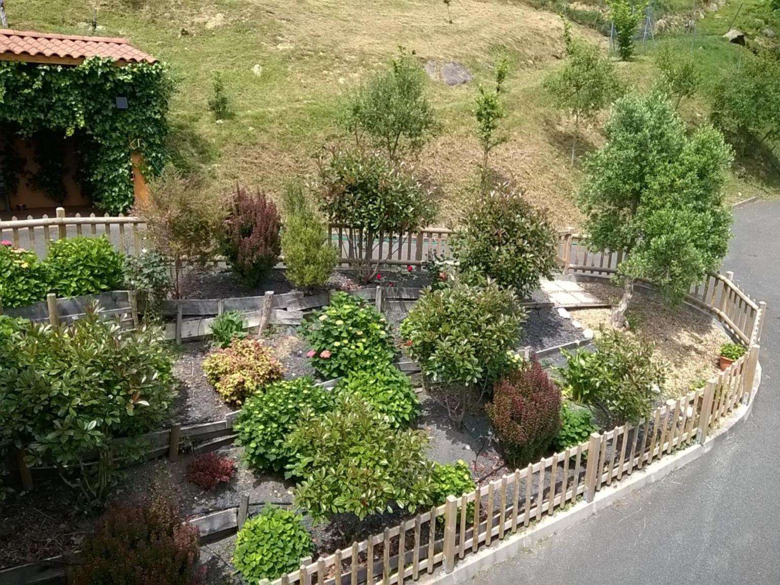 Photo 19