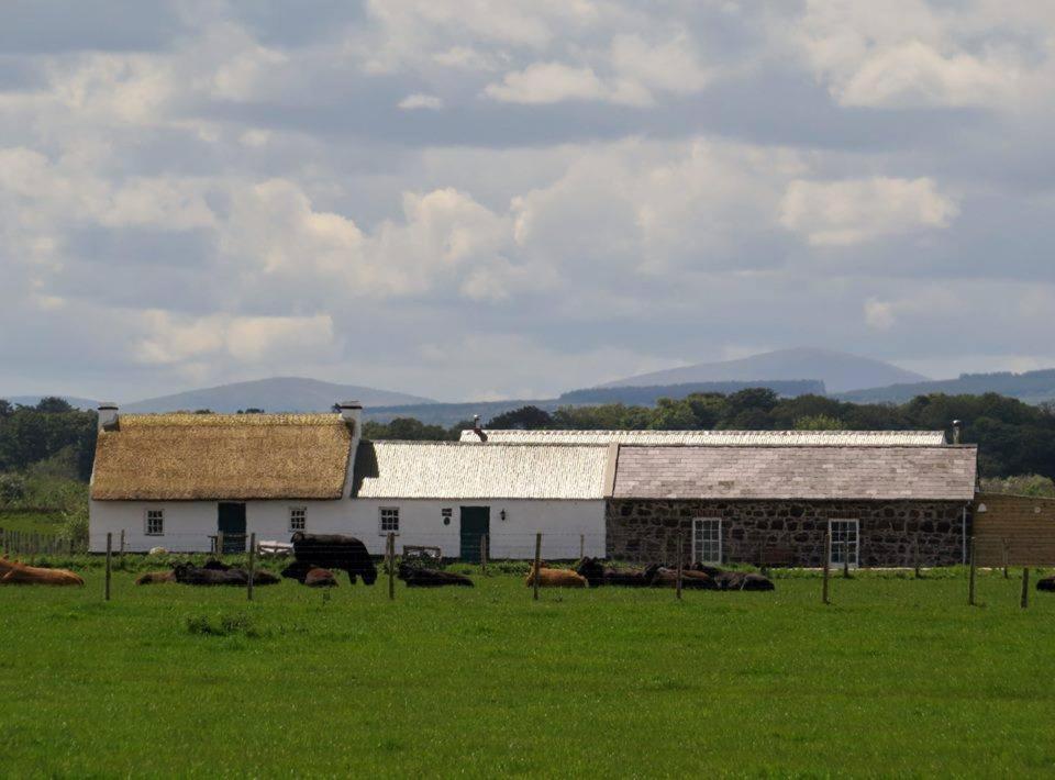 Ballymultimber Cottages - traditional cottages on the Causeway Coast view 3