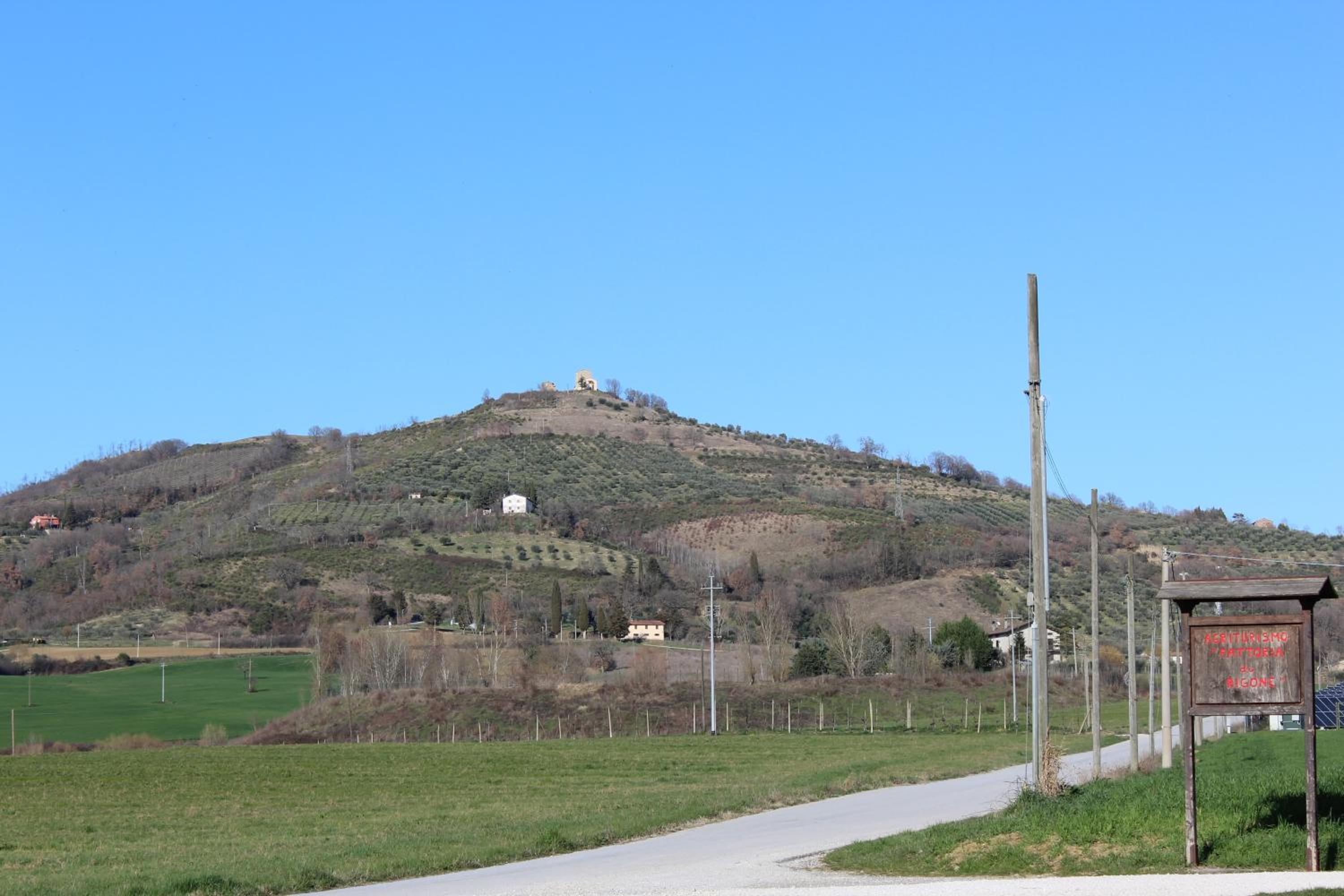 Fattoria di Rigone