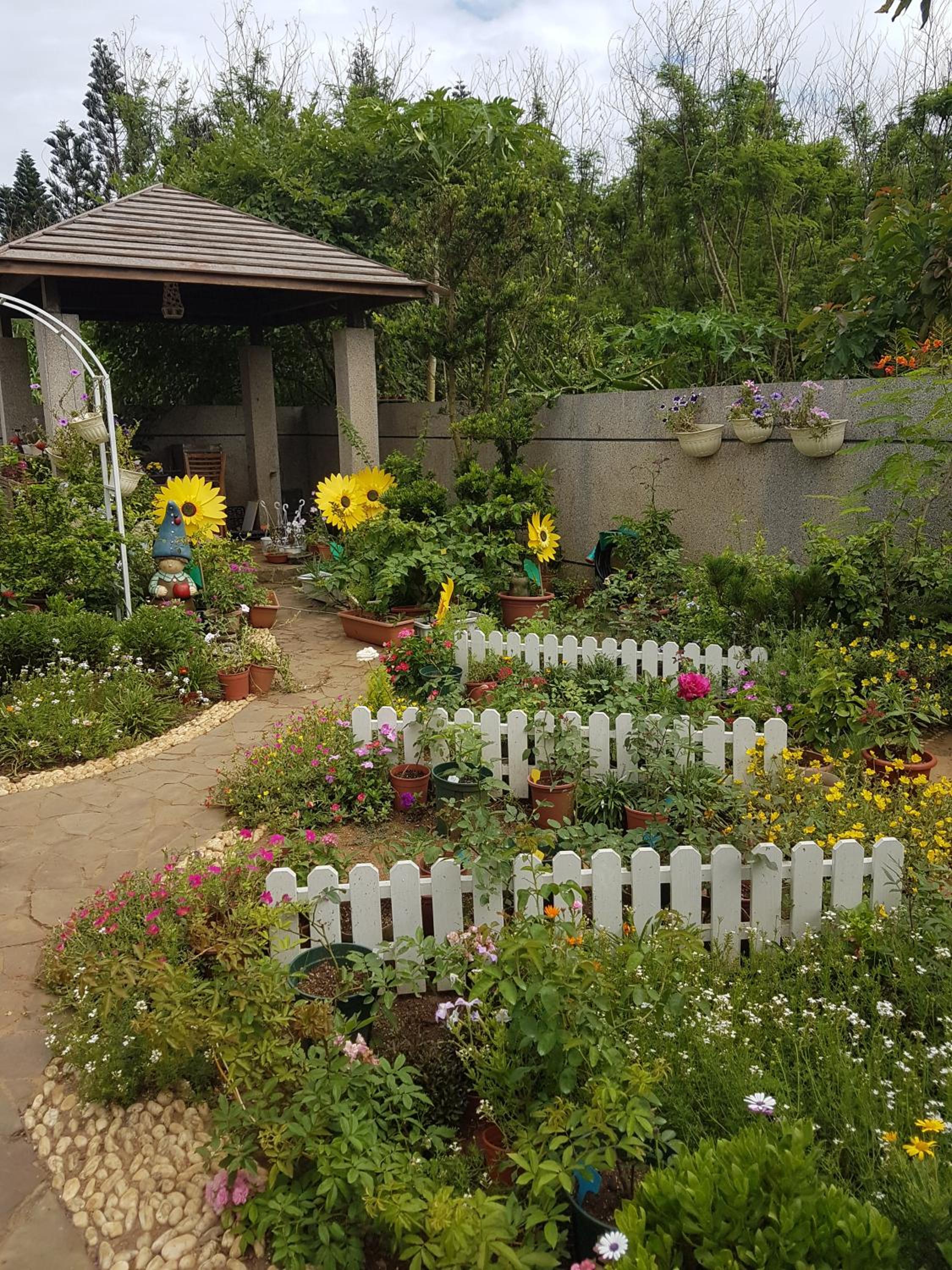 Loving Hut Paradise Island Vegan B&B