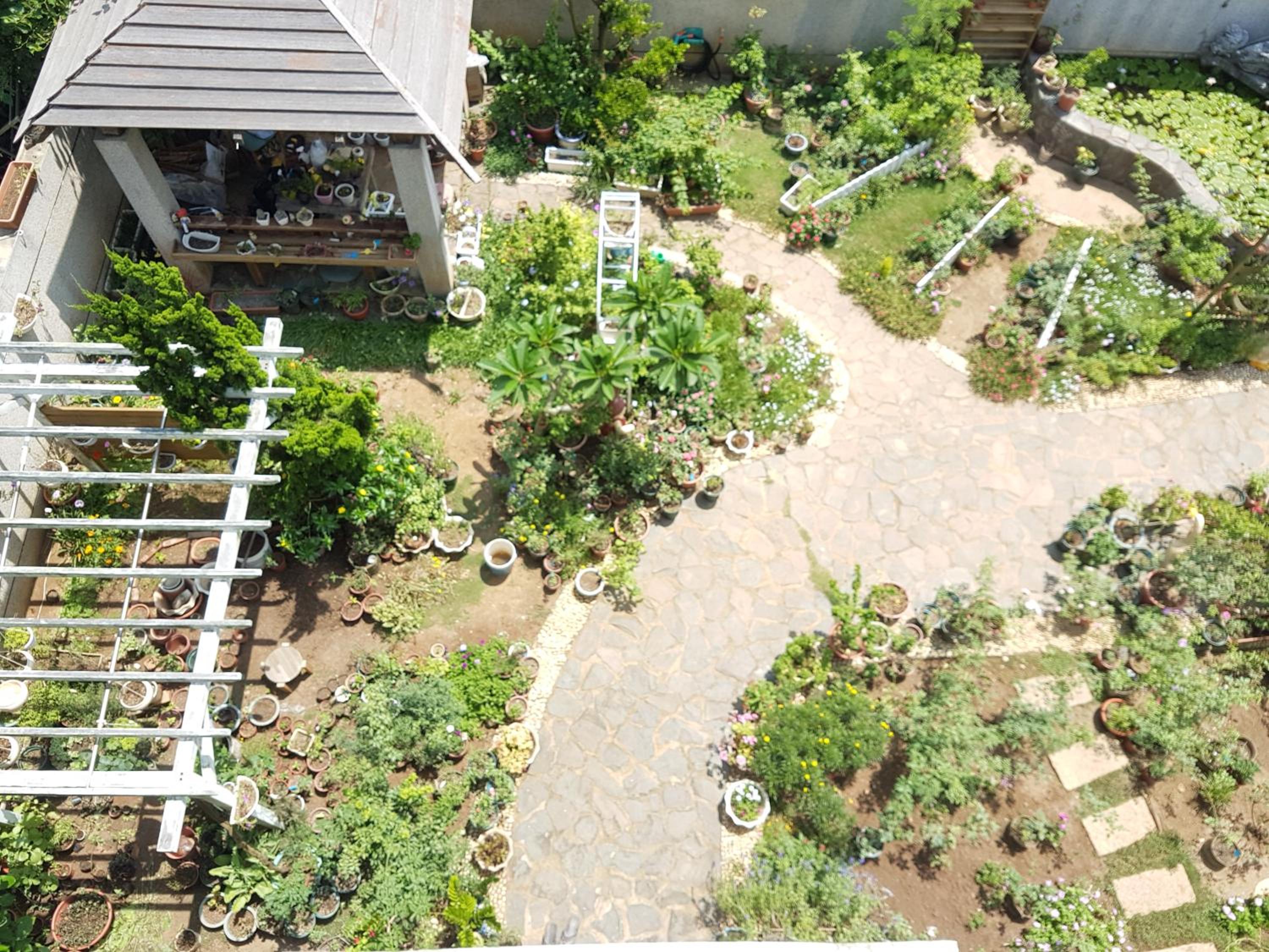 Loving Hut Paradise Island Vegan B&B