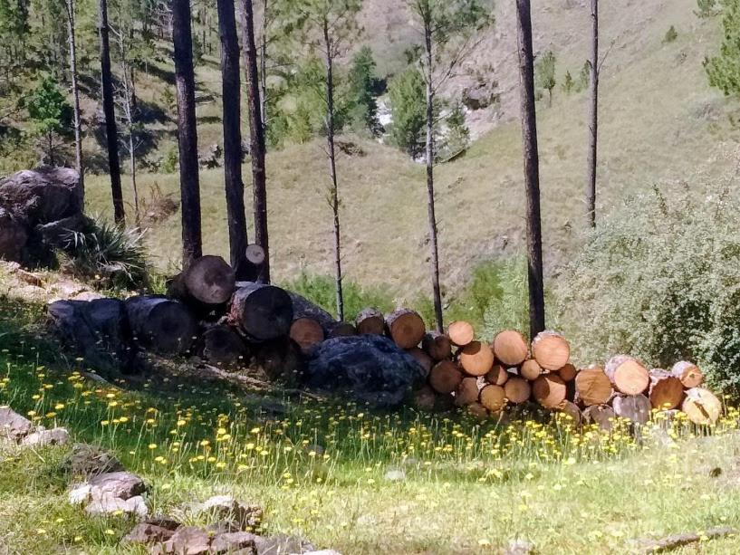 Serranias Del Tabaquillo