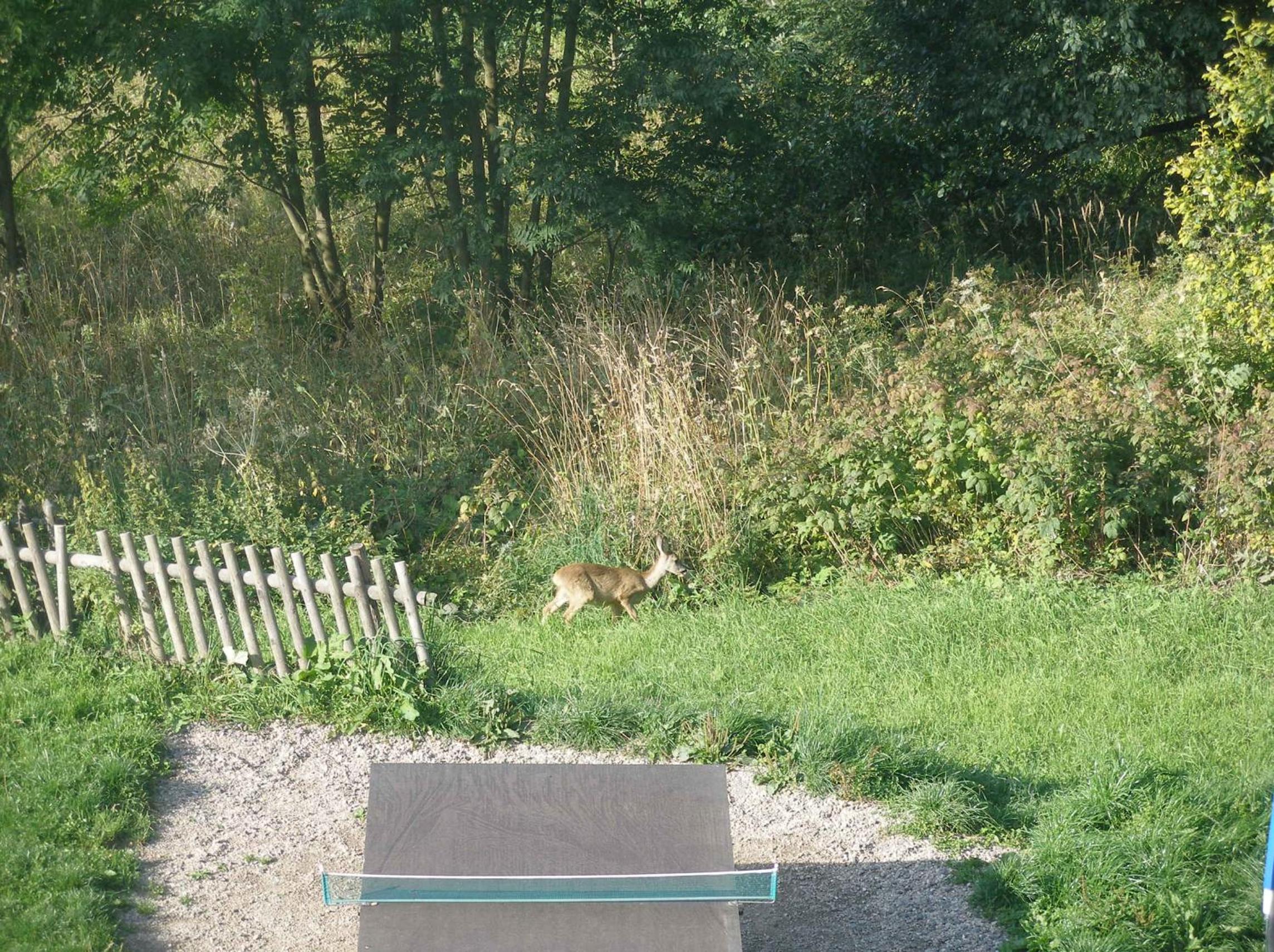 Horská Chata Hříbek