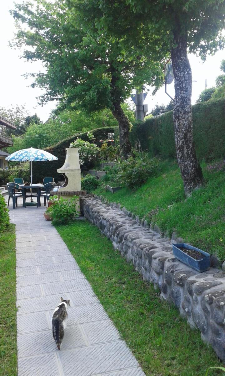 B&B il Bosco Appartamento