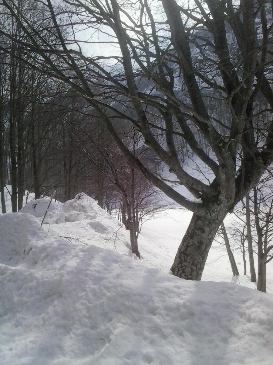 Photo 32