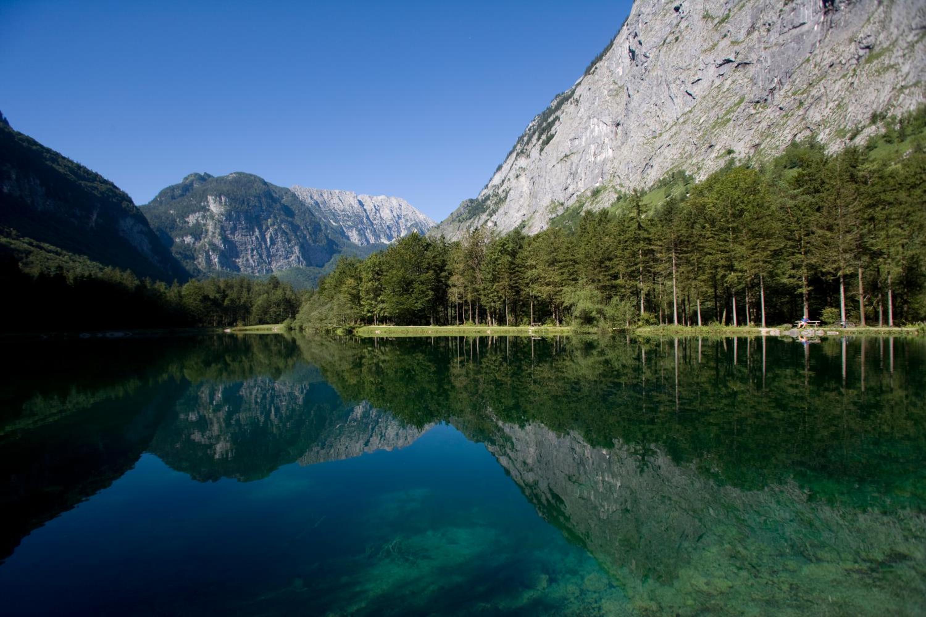 Forest Chalet, all famous ski areas around us, 15 min to city of salzburg, mountainview, panorama sauna, bath whirlpool, fire pit in garden up to 10 p