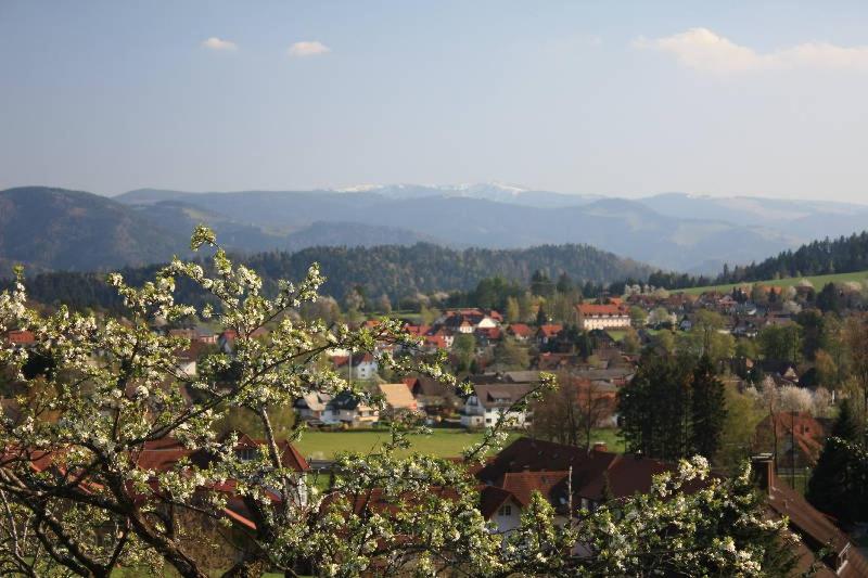 Ferien Auf Dem Steingrubenhof view 3