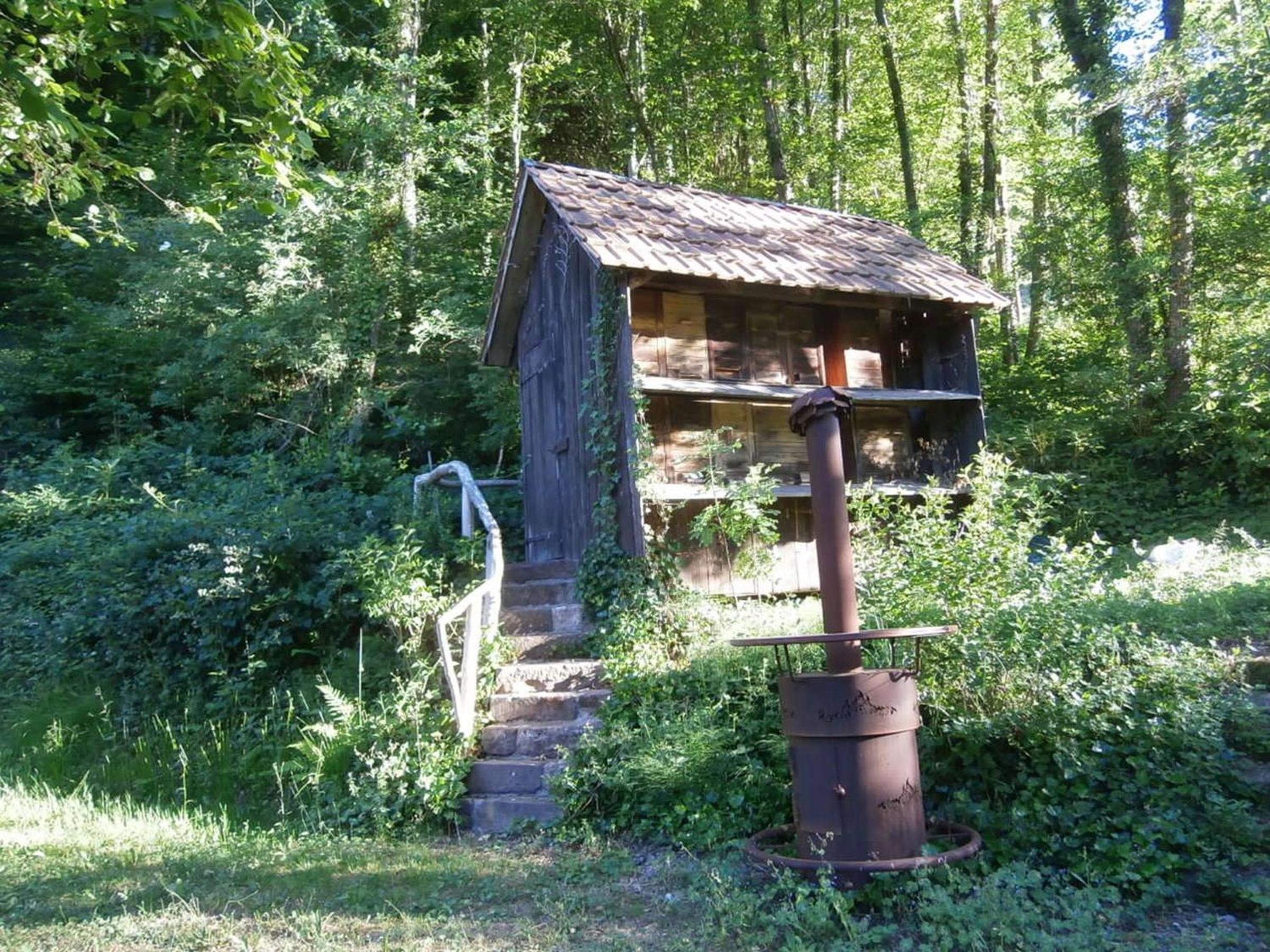 Photo 22