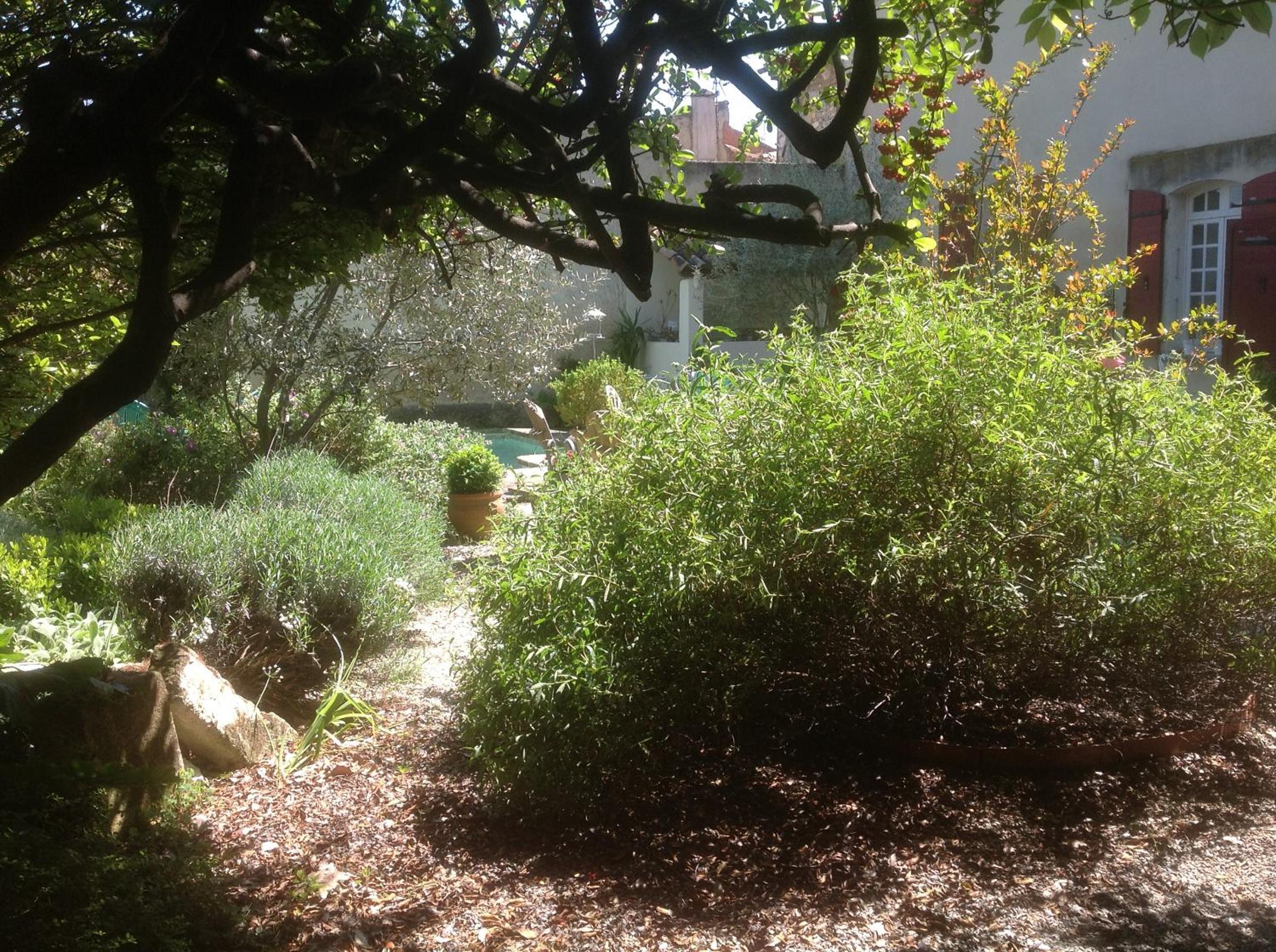 Photo 44