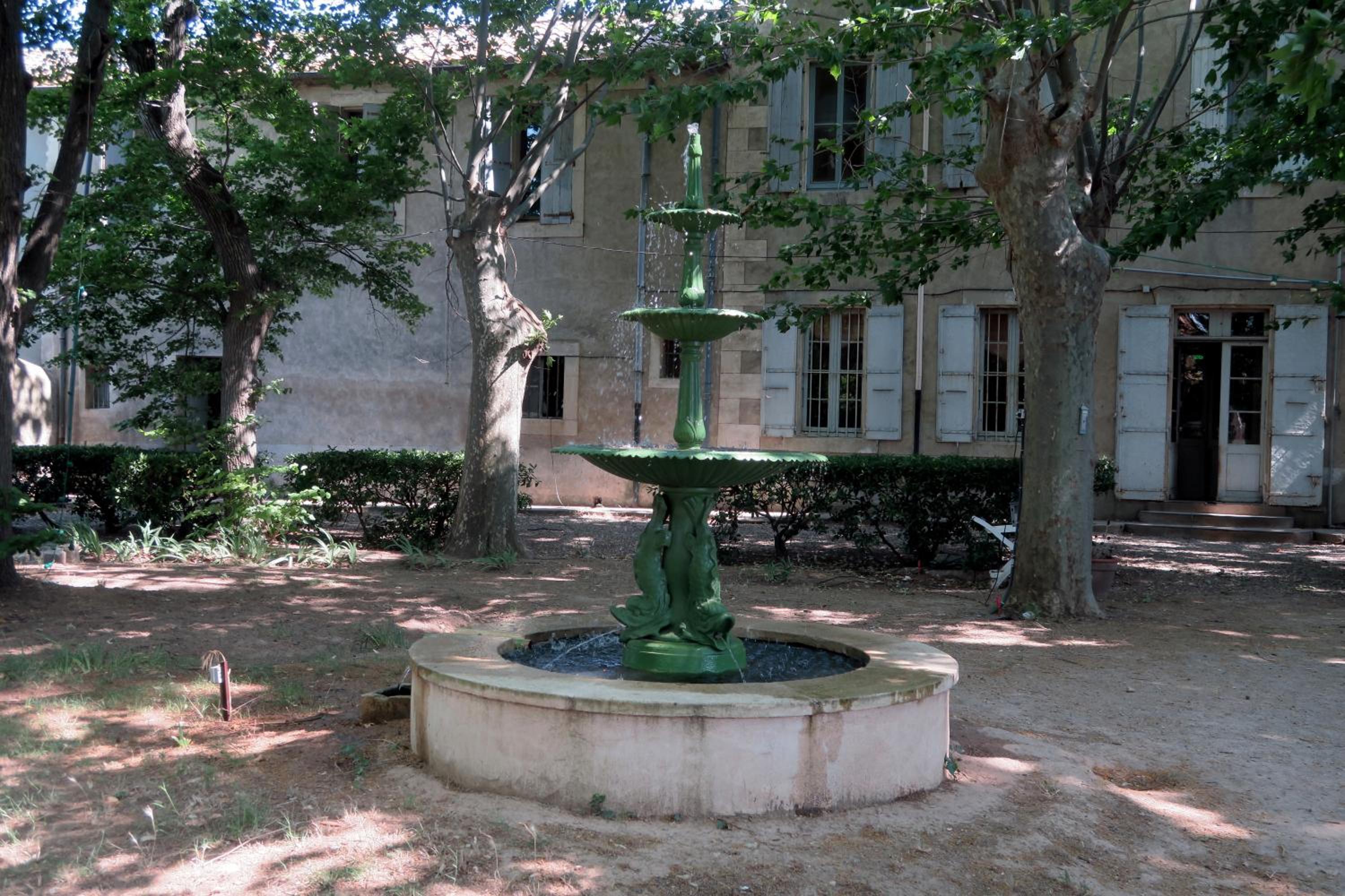 Photo 11
